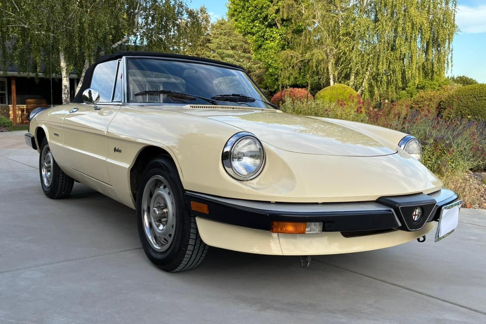 1987 Alfa Romeo 105 Series Spider