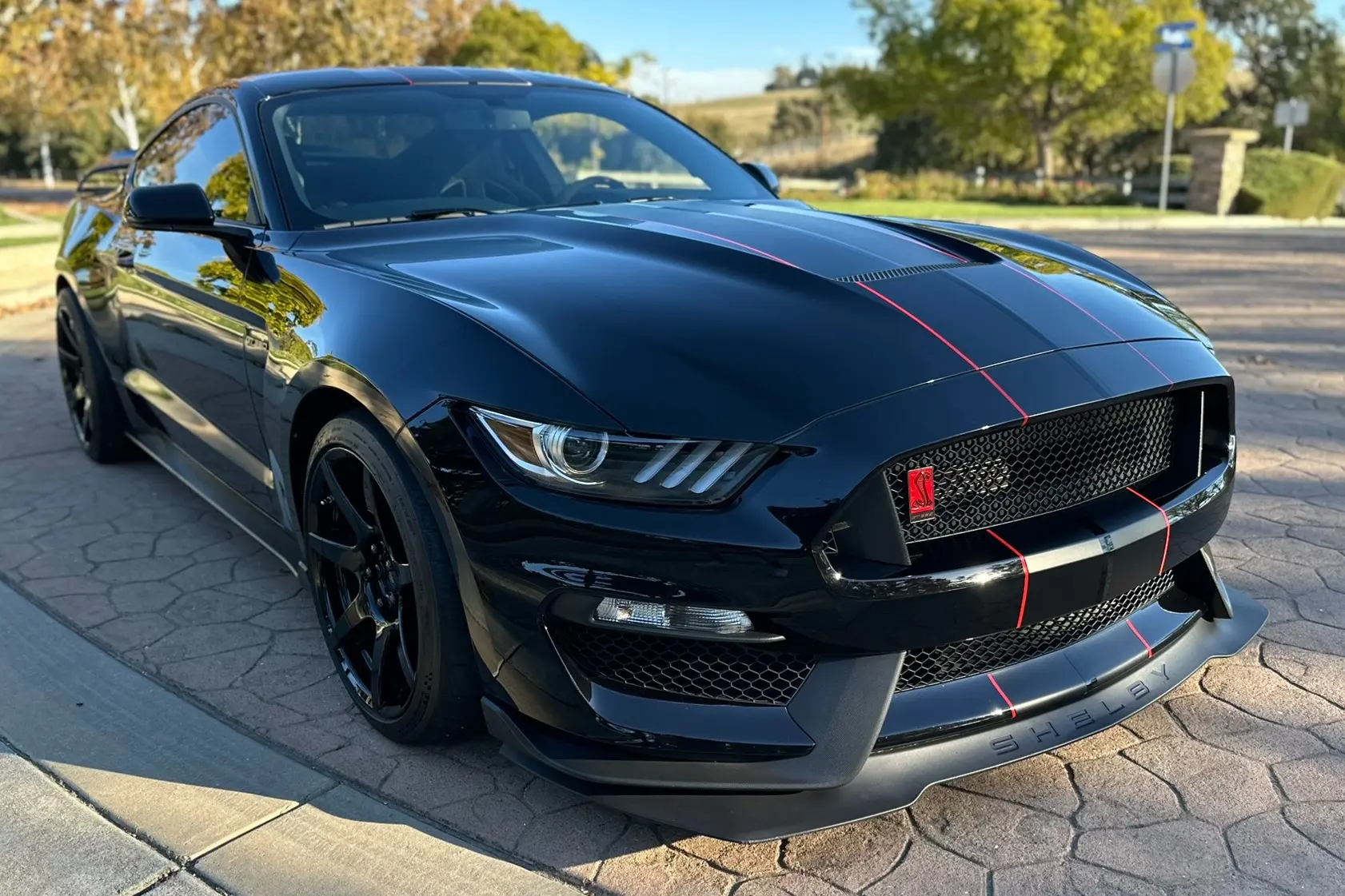2018 Ford Mustang Shelby GT350R