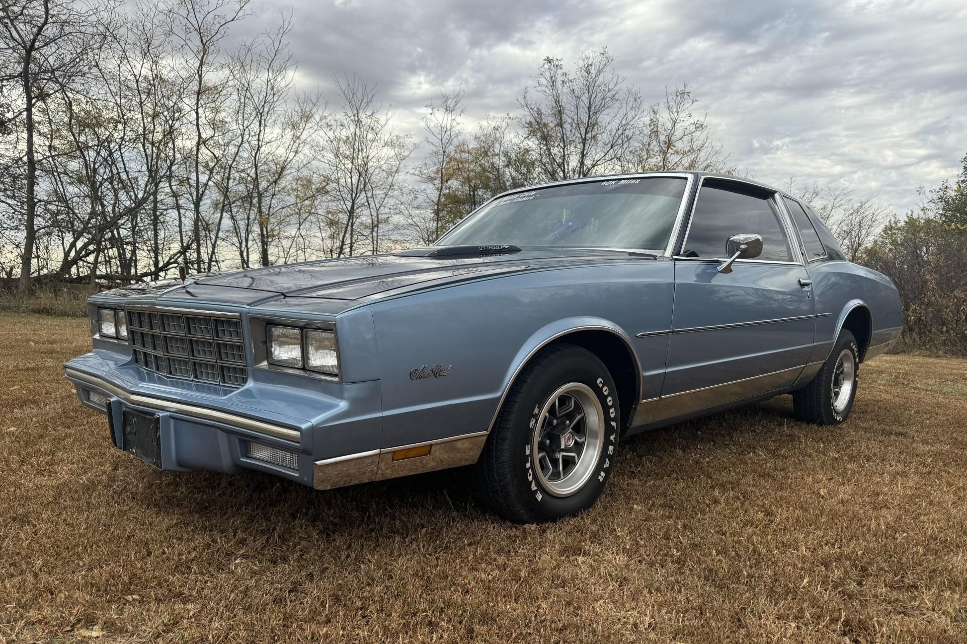 1981 Chevrolet Monte Carlo