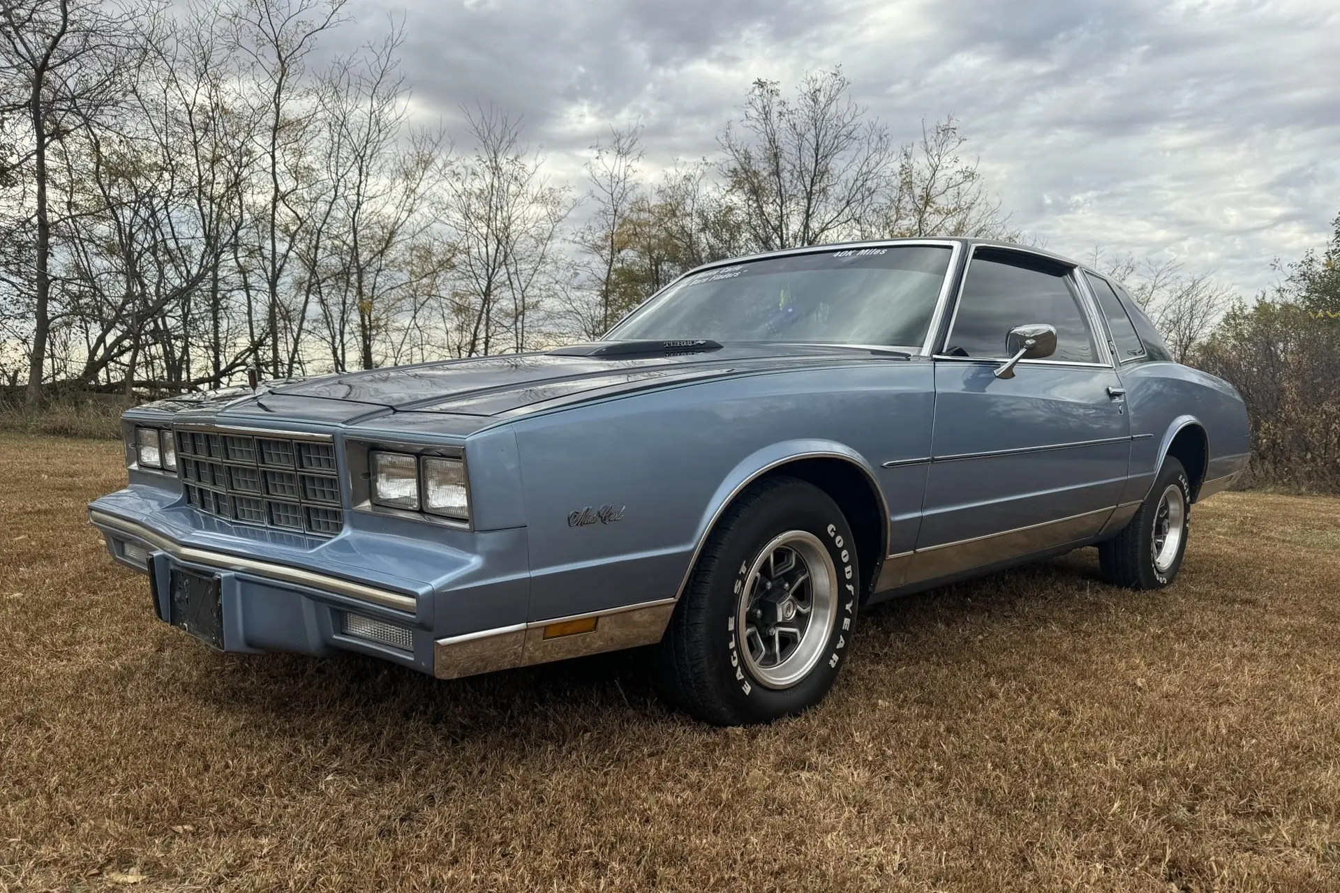 1981 Chevrolet Monte Carlo