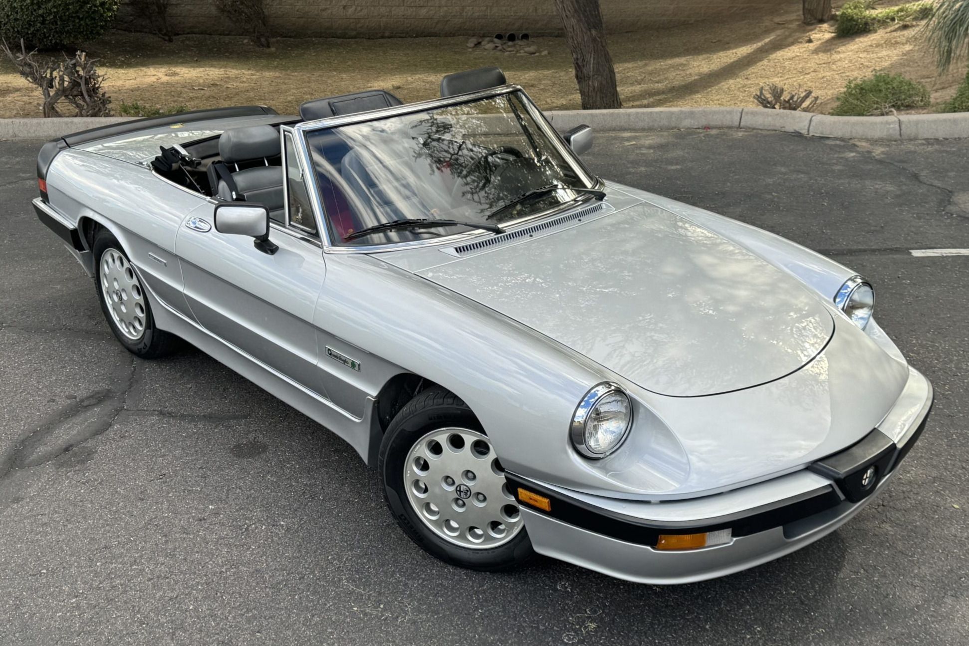 1986 Alfa Romeo Spider