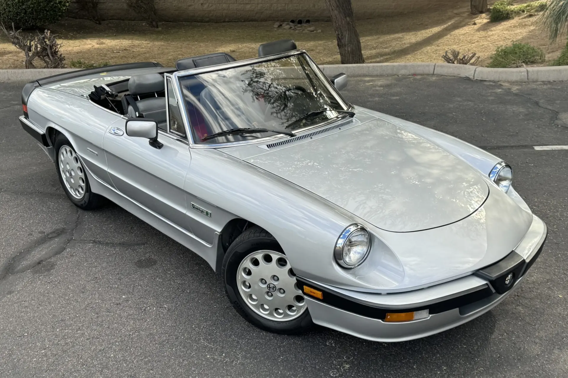 1986 Alfa Romeo Spider