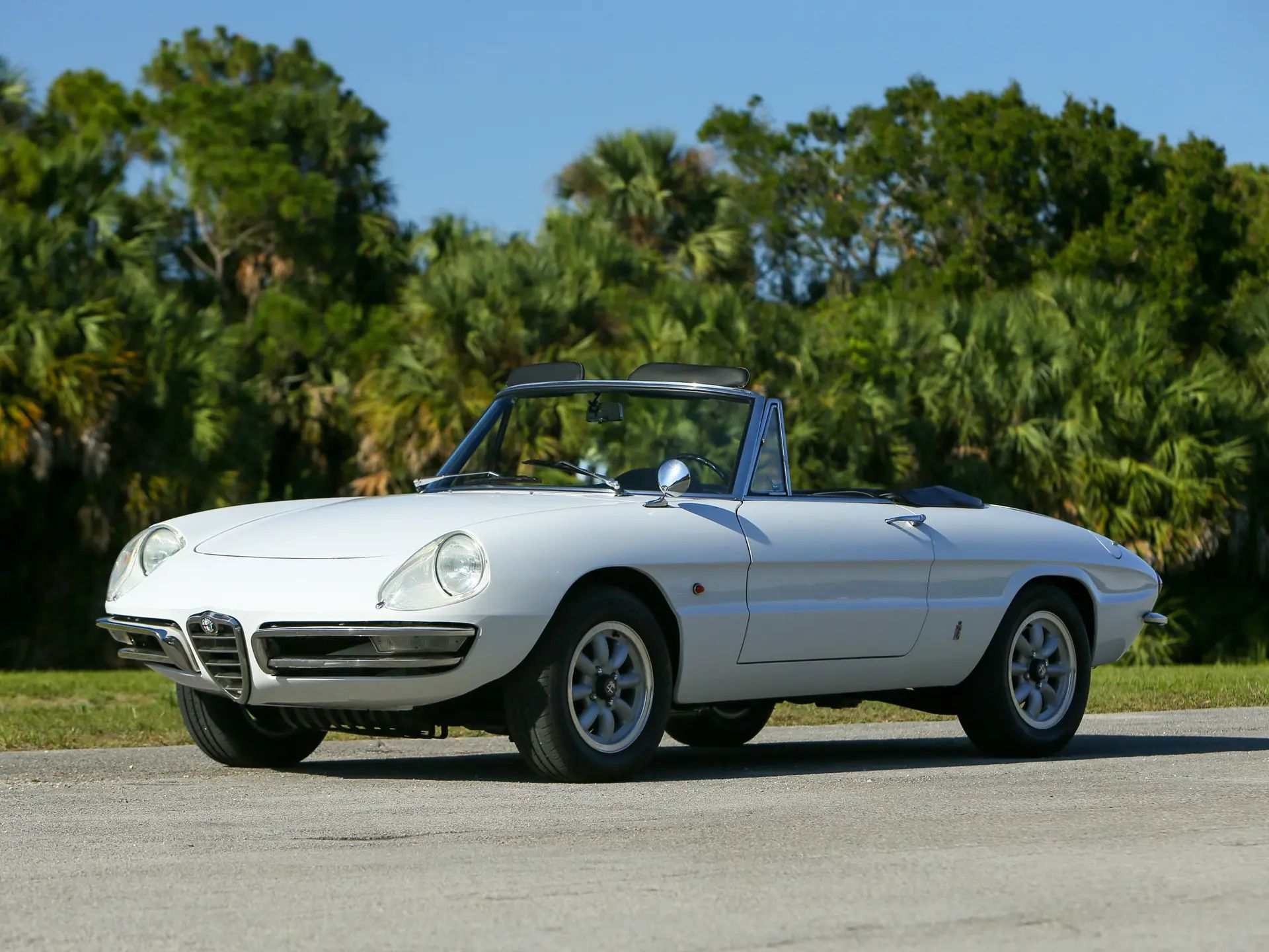 1967 Alfa Romeo 105 Series Spider