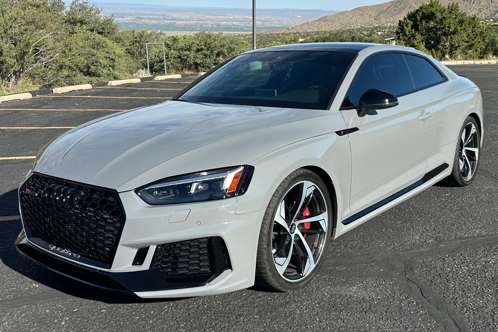 2019 Audi RS 5