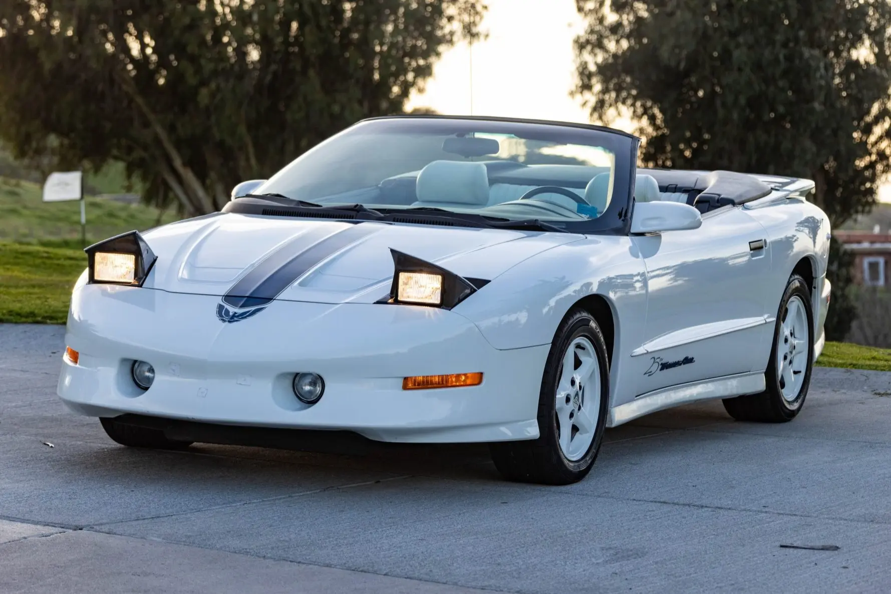 1994 Pontiac Firebird Trans Am