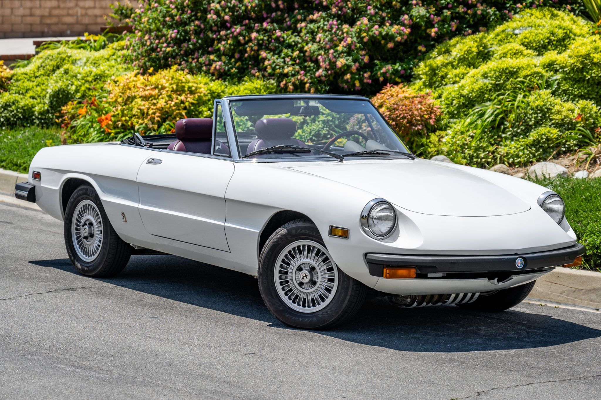 1978 Alfa Romeo 105 Series Spider