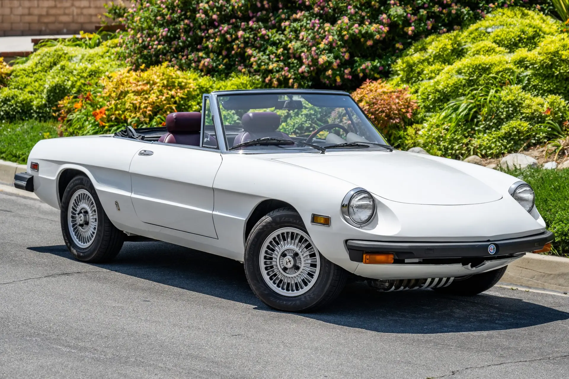 1978 Alfa Romeo 105 Series Spider