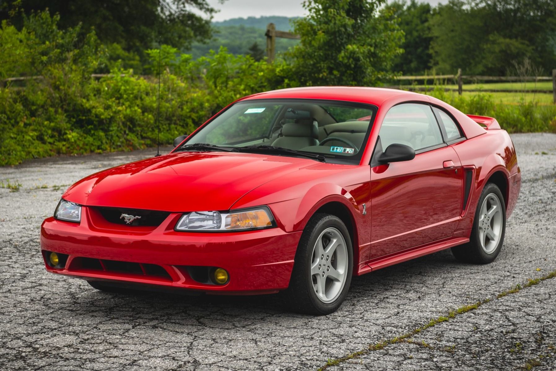 1999 Ford Mustang SVT Cobra