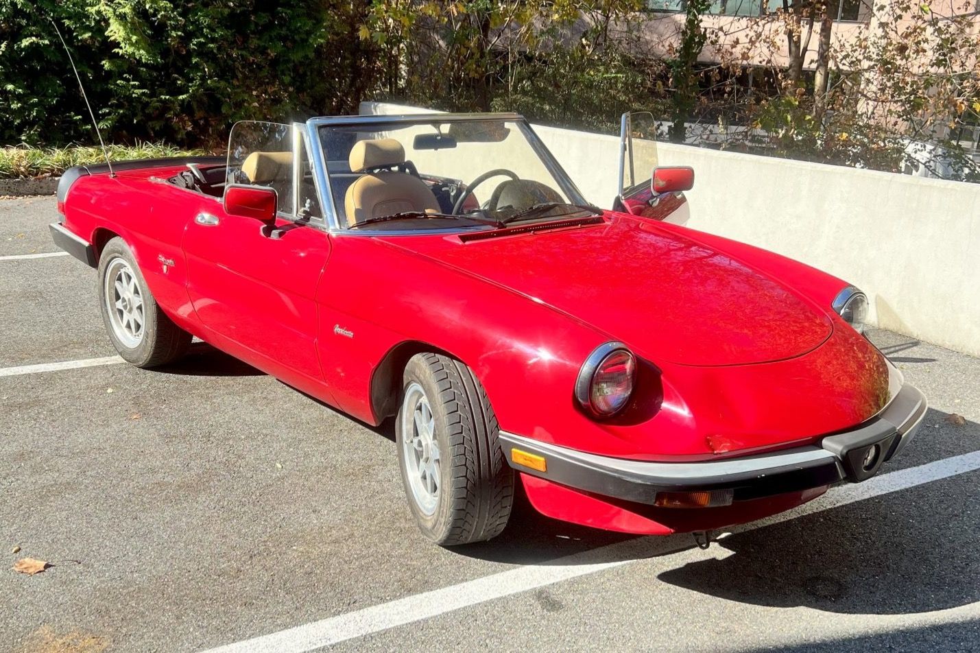1989 Alfa Romeo Spider