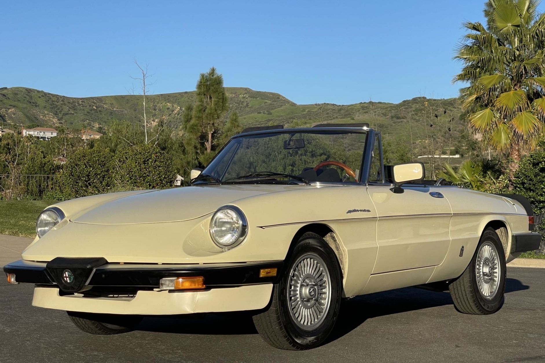 1984 Alfa Romeo 105 Series Spider