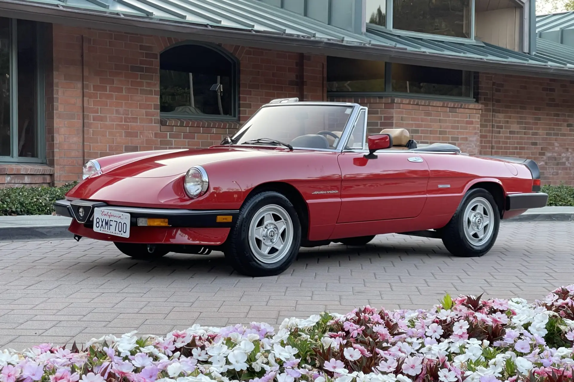 1986 Alfa Romeo 105 Series Spider