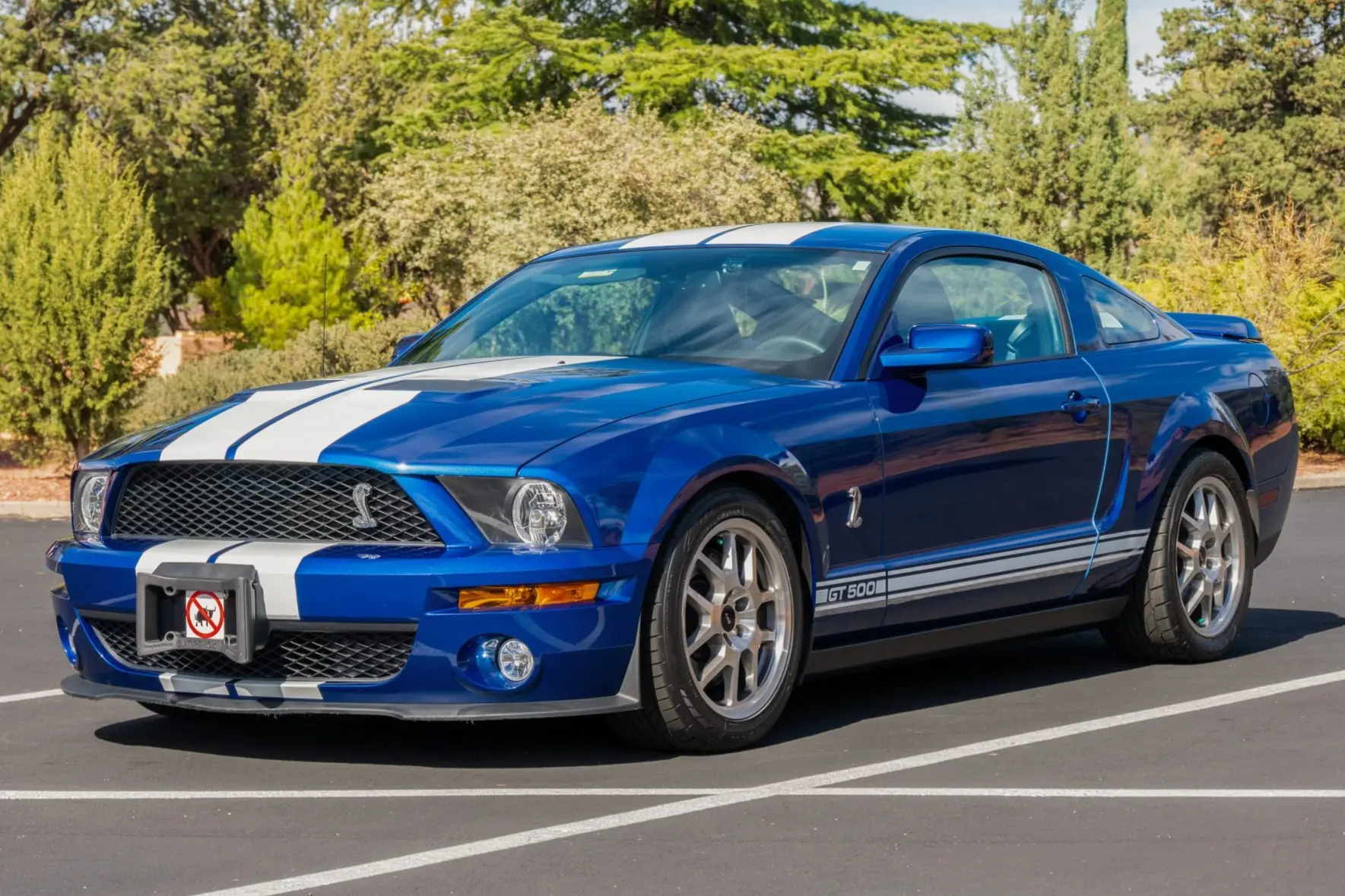 2008 Ford Mustang Shelby GT500