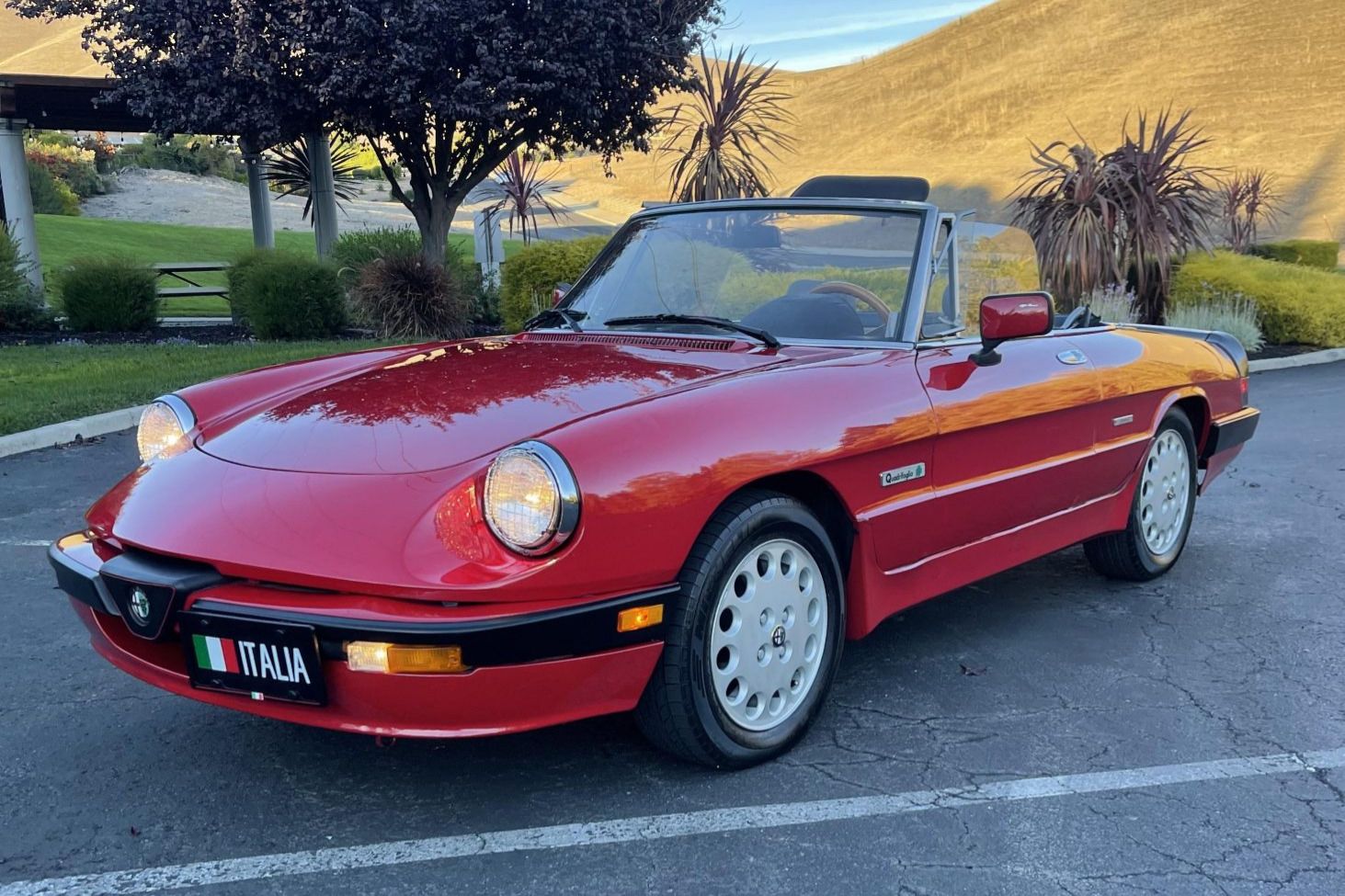 1989 Alfa Romeo 105 Series Spider