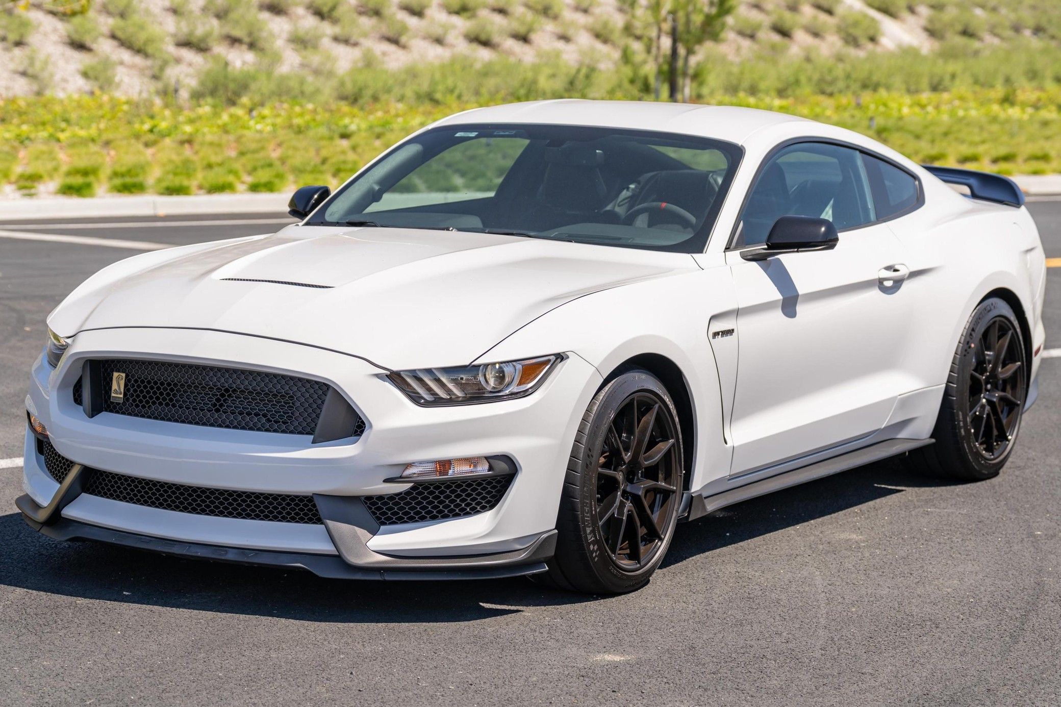 2019 Ford Mustang Shelby GT350