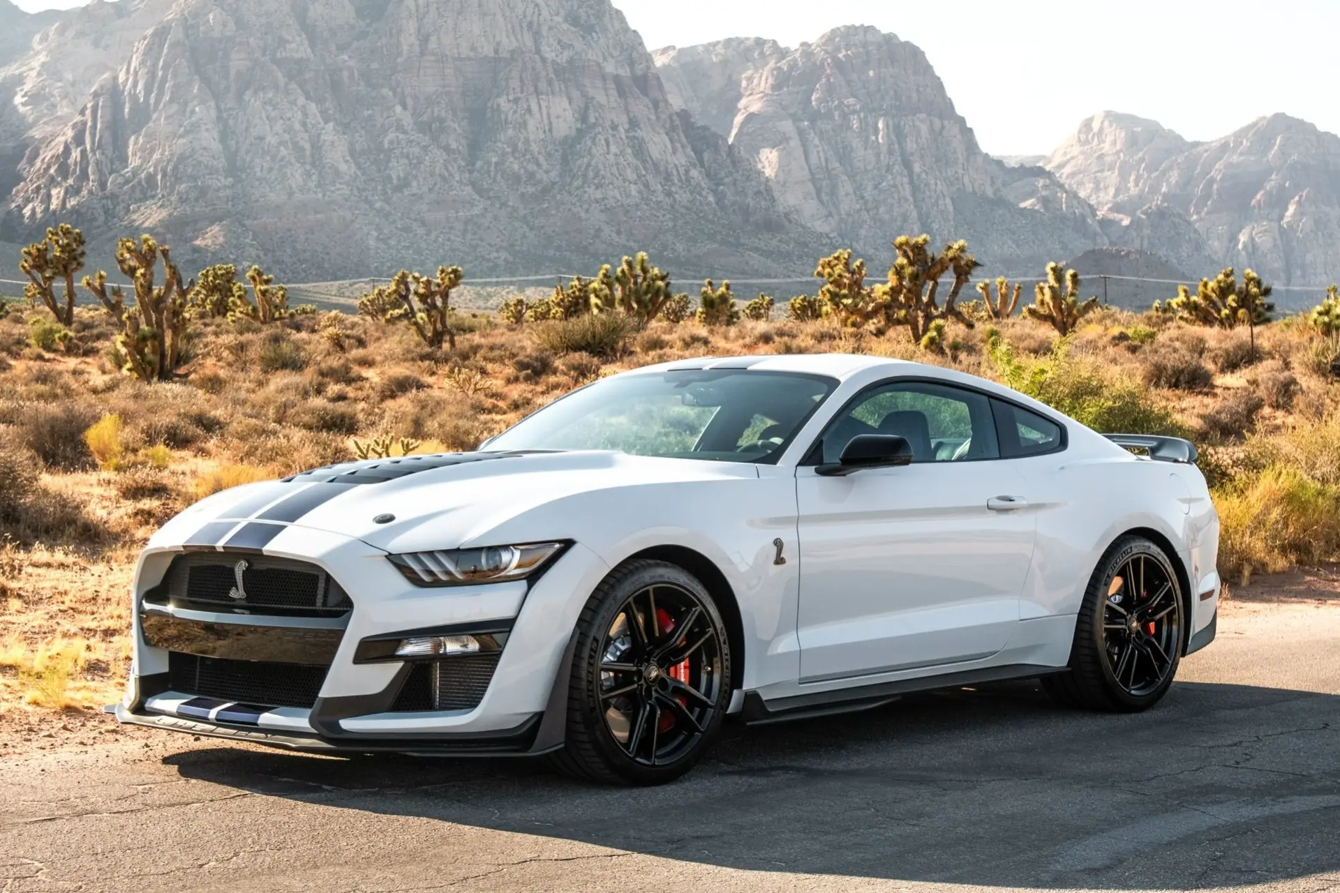 2022 Ford Mustang Shelby GT500