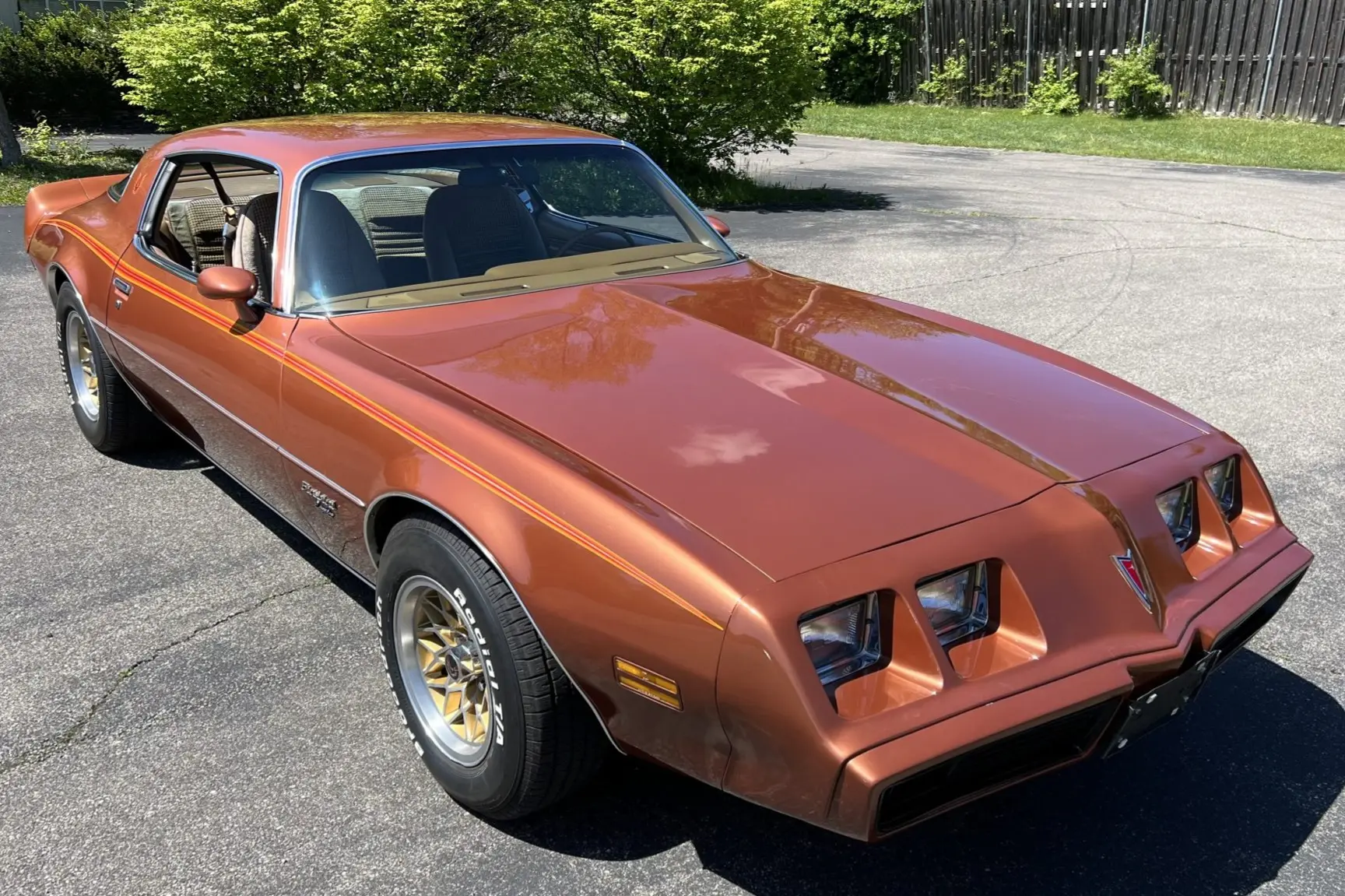 1980 Pontiac Firebird