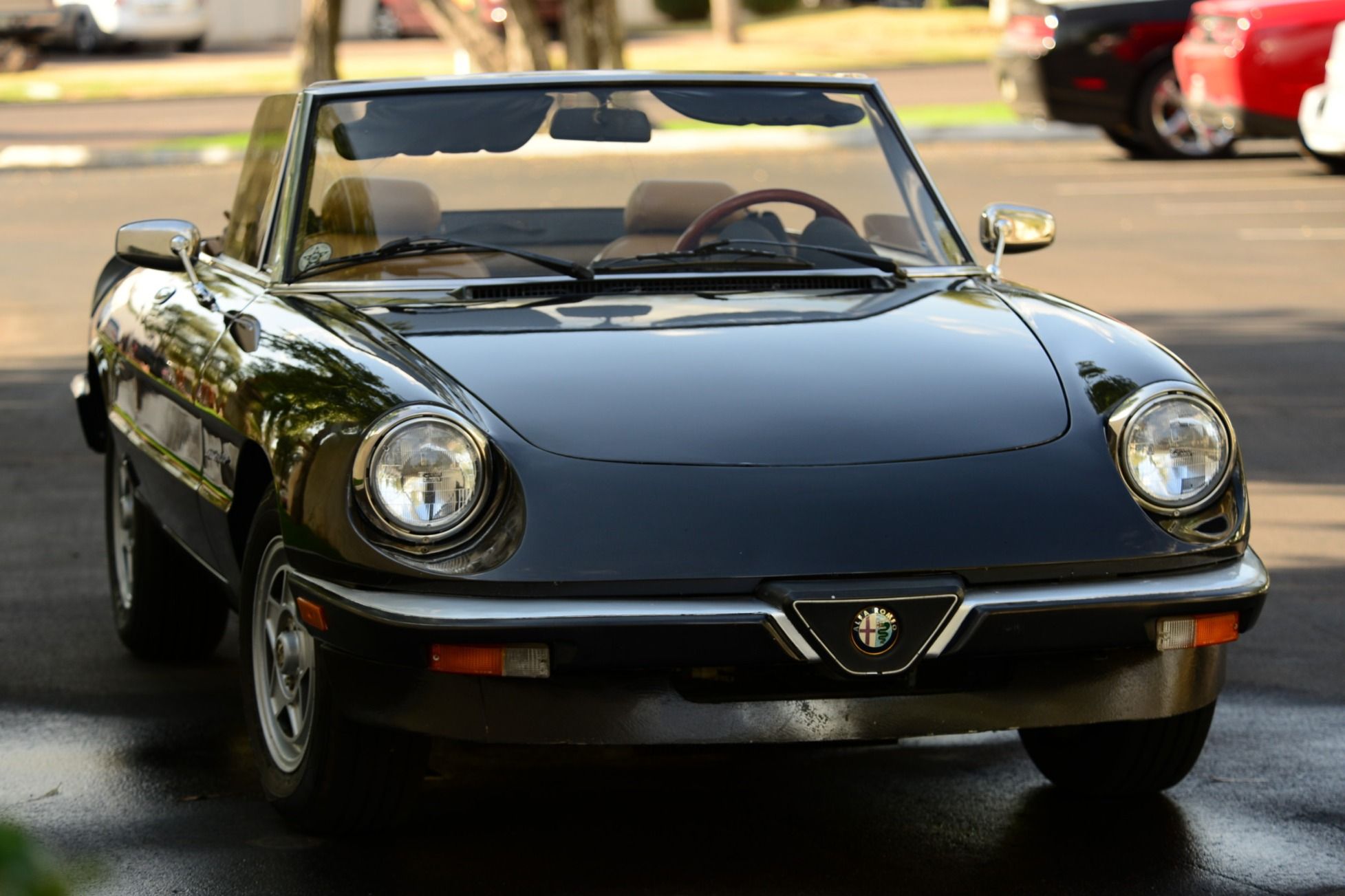 1984 Alfa Romeo 105 Series Spider