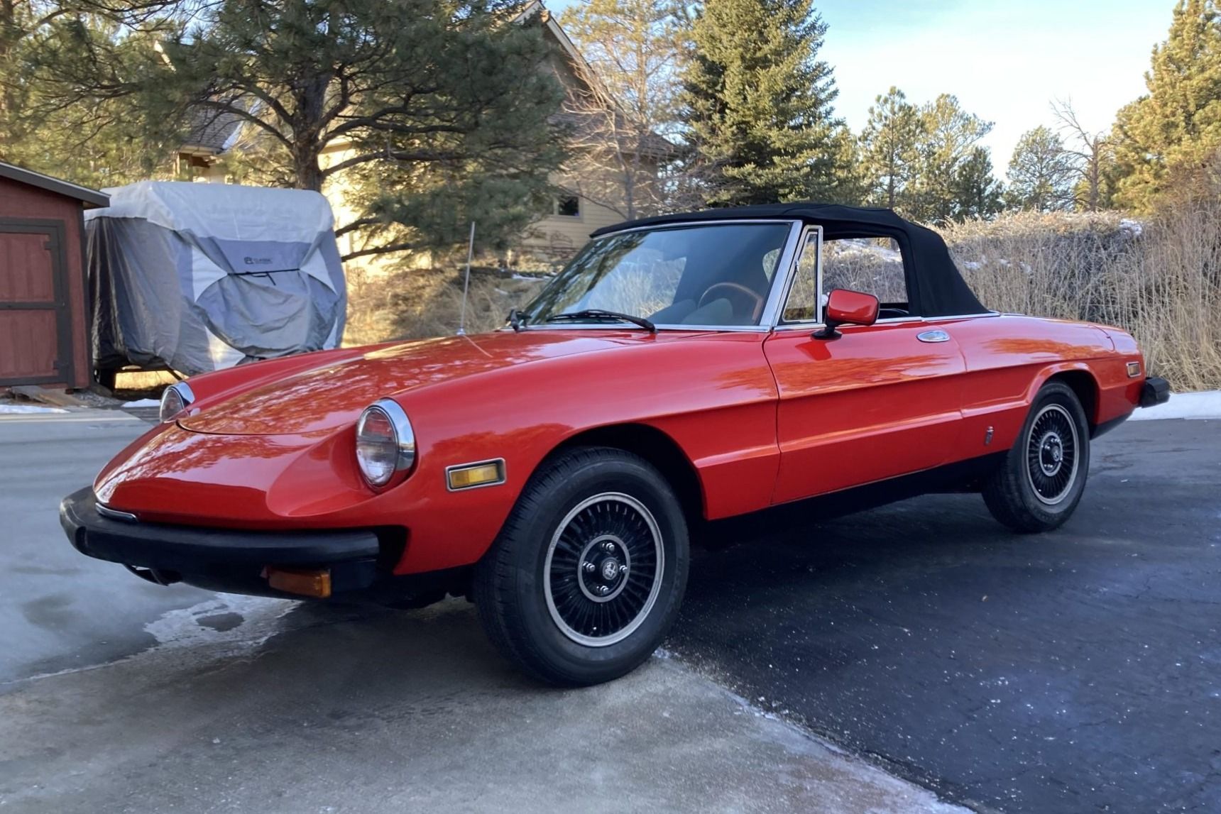 1977 Alfa Romeo Spider