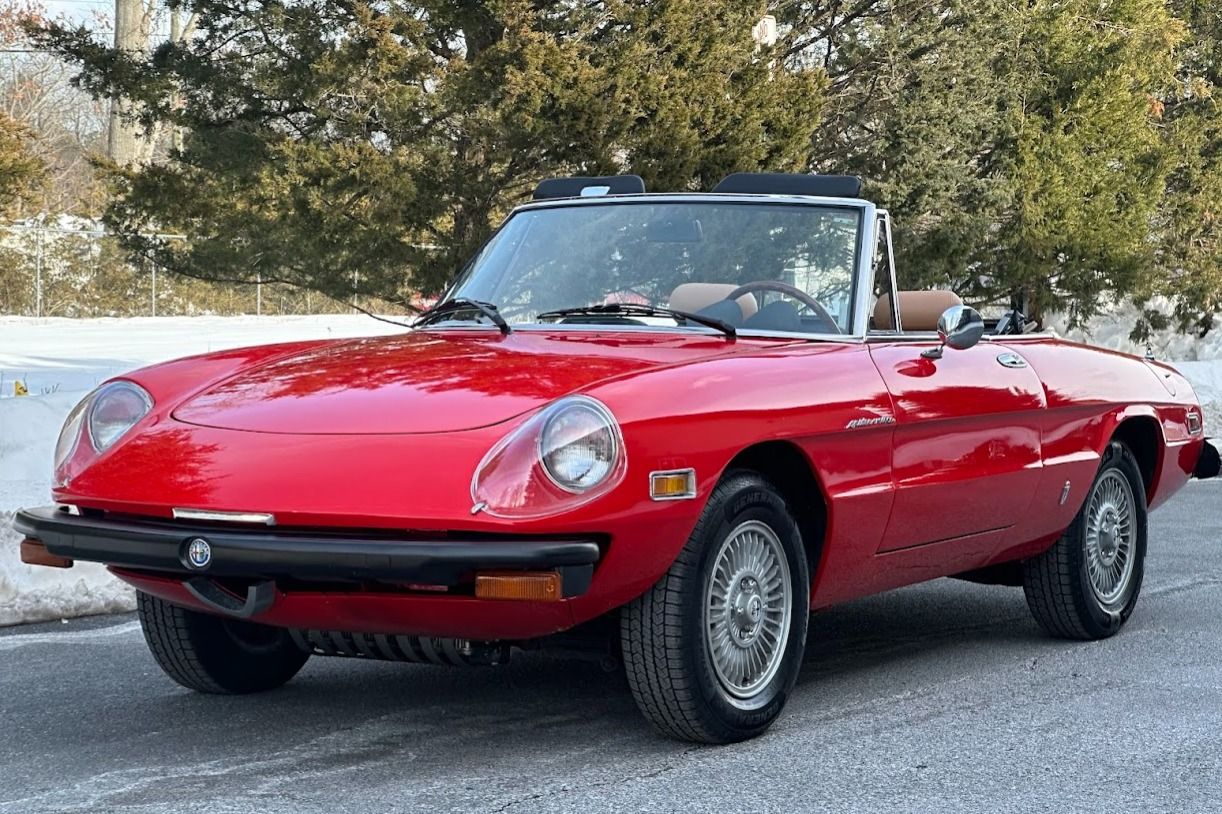 1981 Alfa Romeo 105 Series Spider