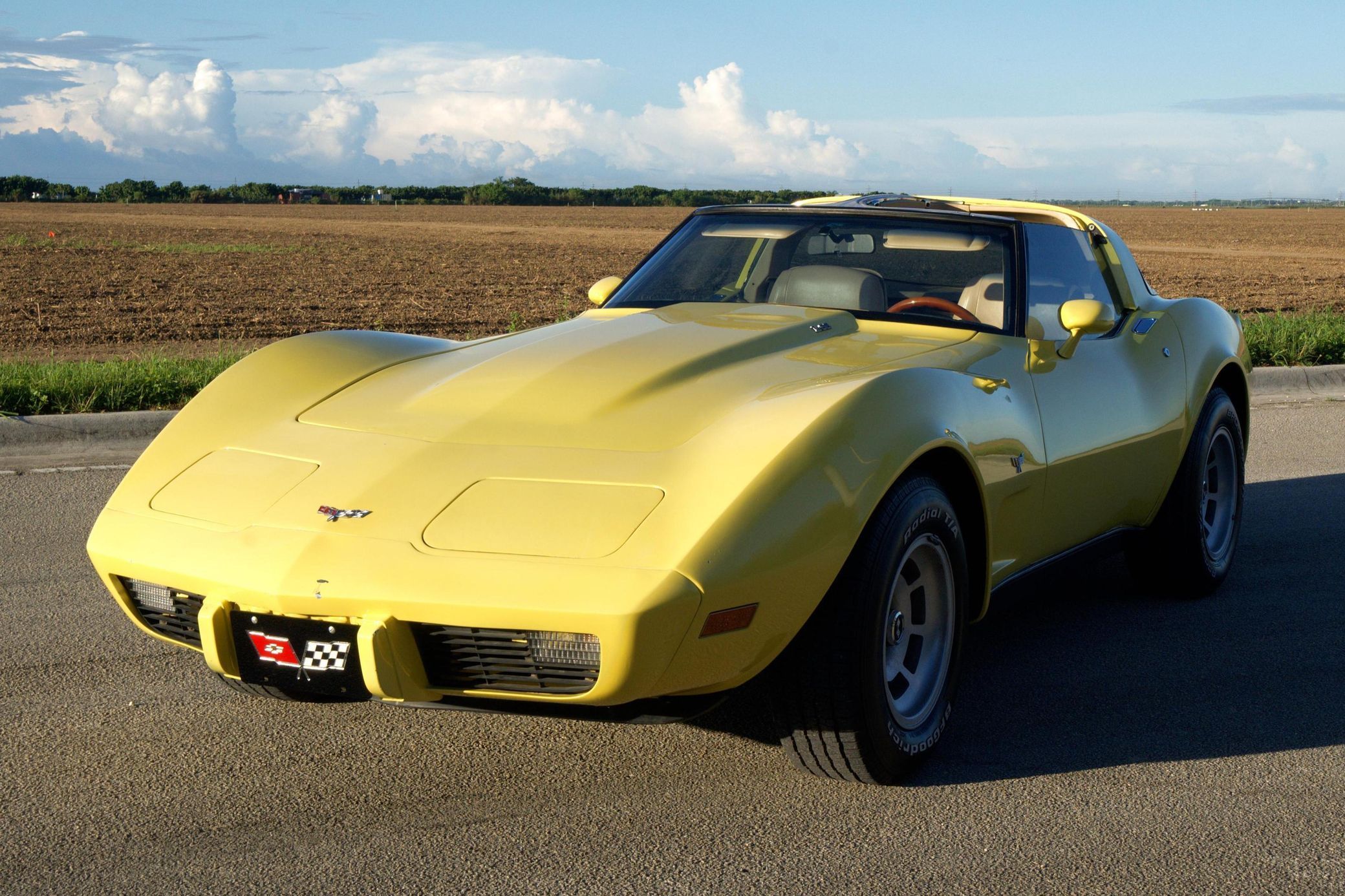 1979 Chevrolet Corvette