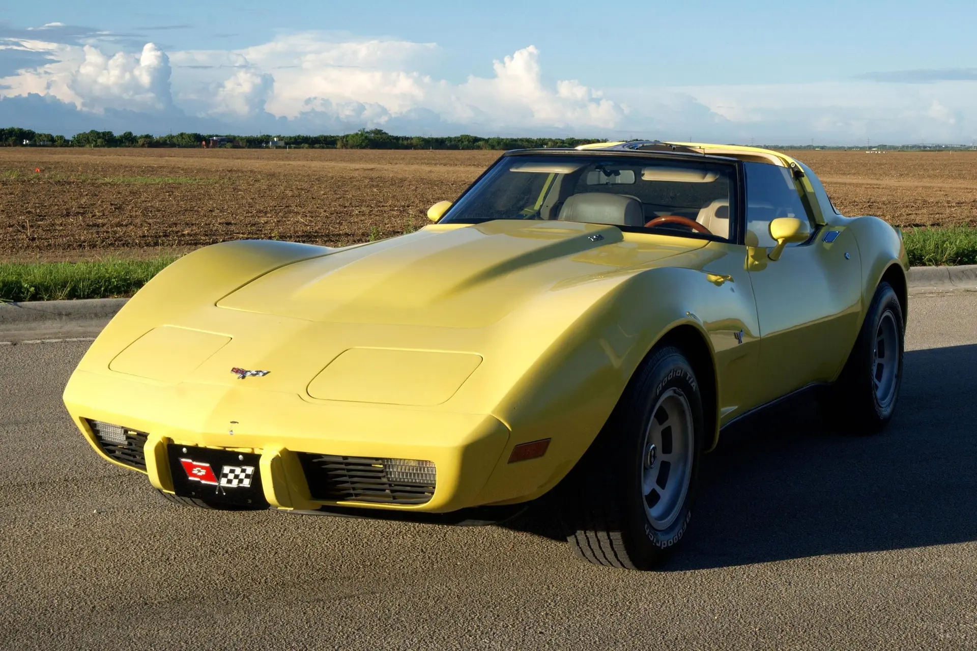 1979 Chevrolet Corvette