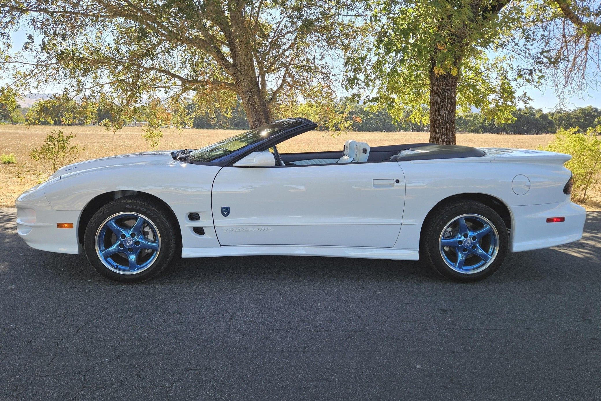 1999 Pontiac Firebird Trans Am
