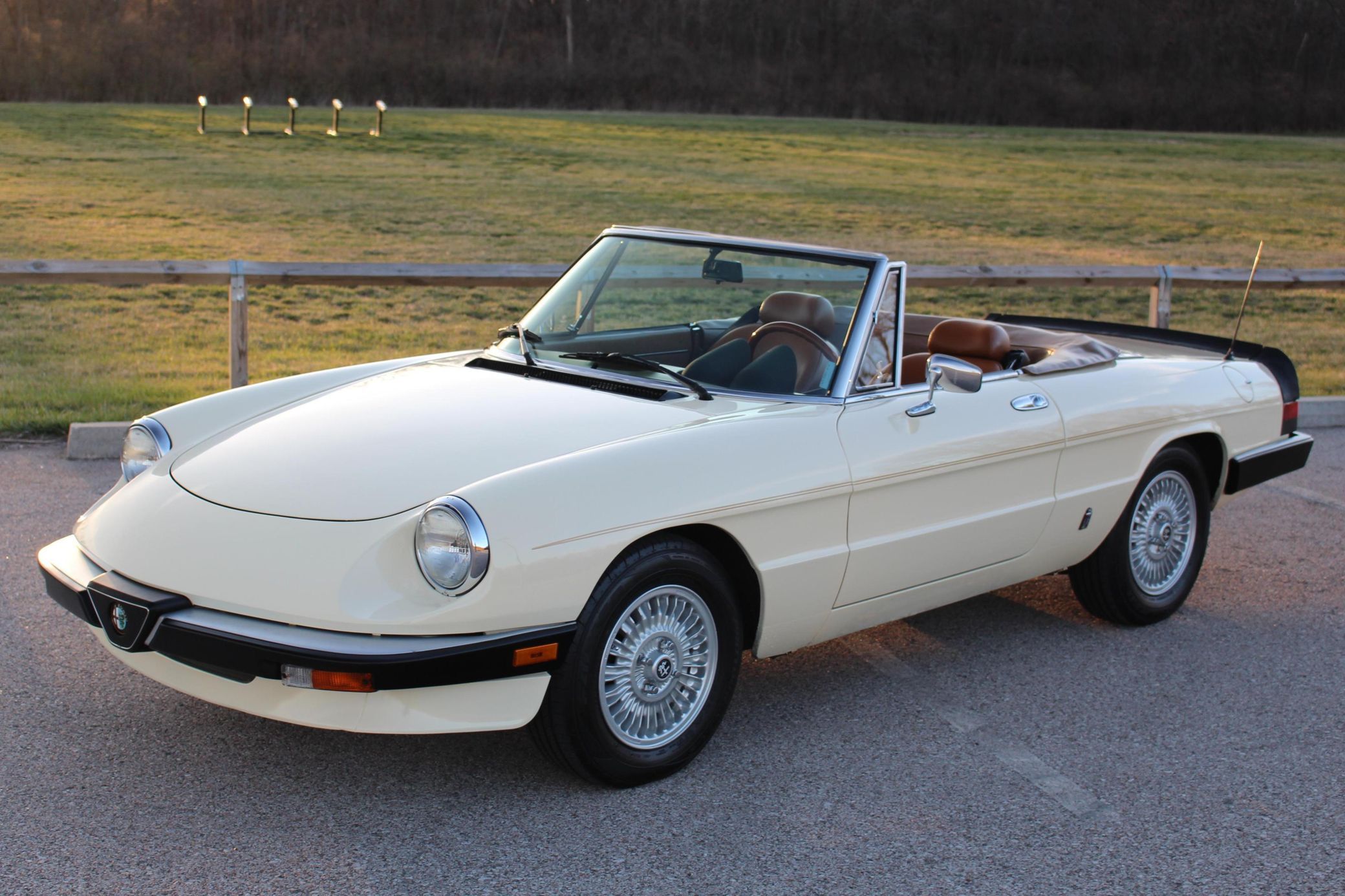 1985 Alfa Romeo Spider