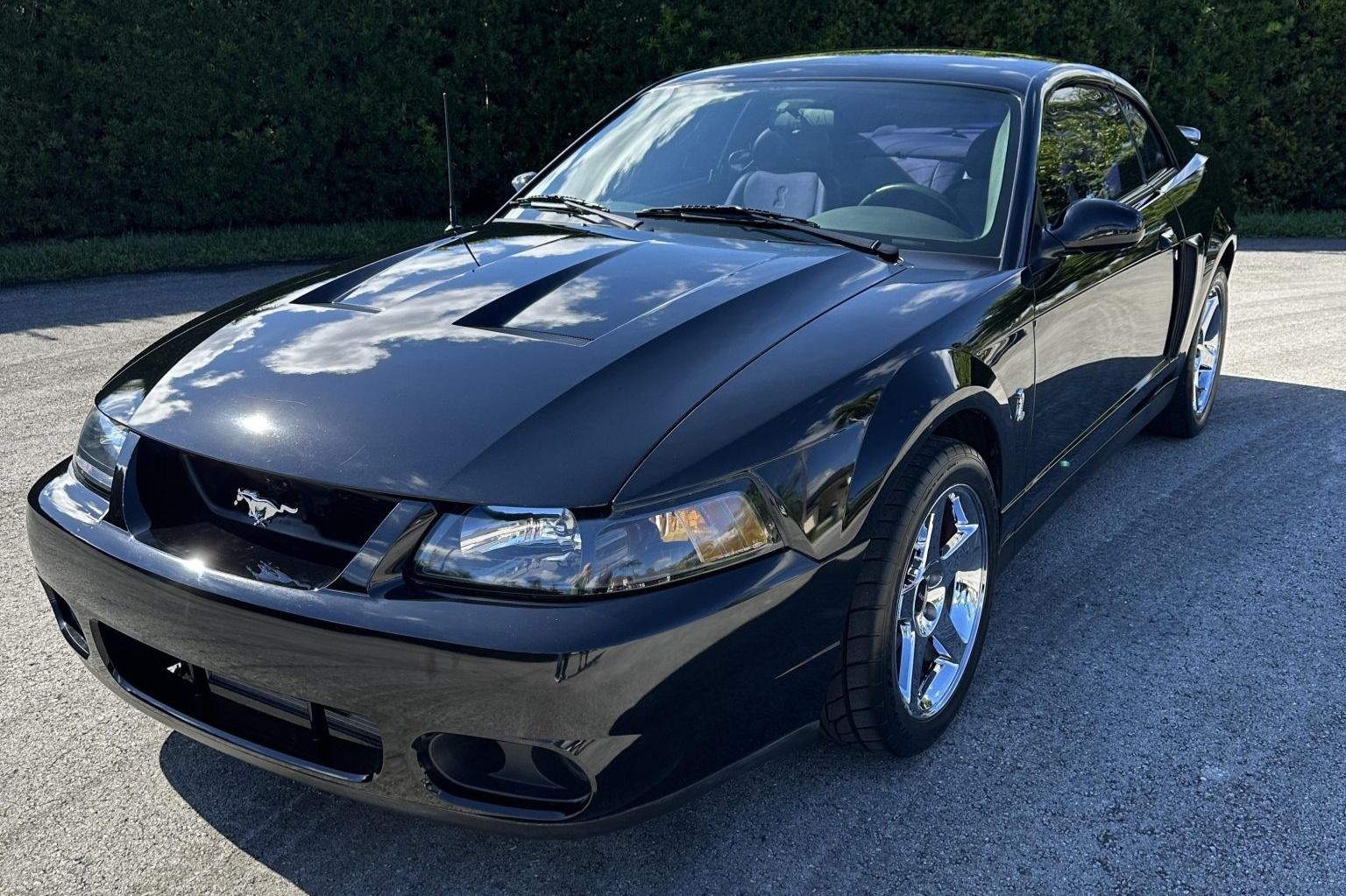 2004 Ford Mustang SVT Cobra