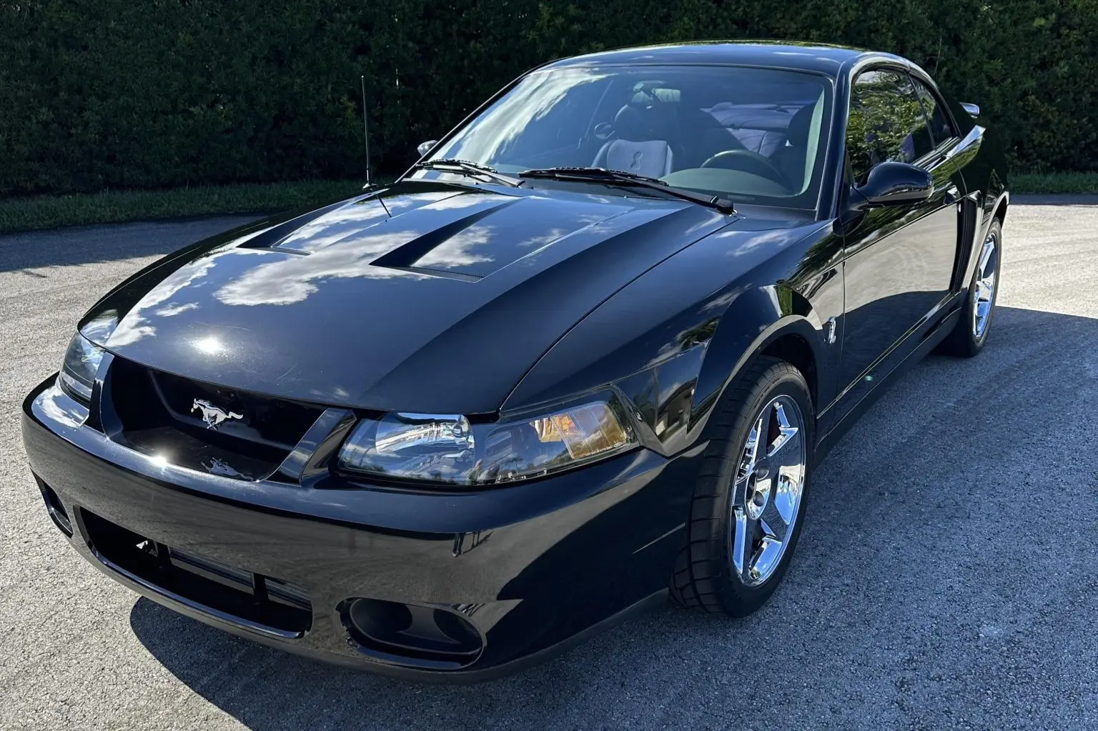 2004 Ford Mustang SVT Cobra