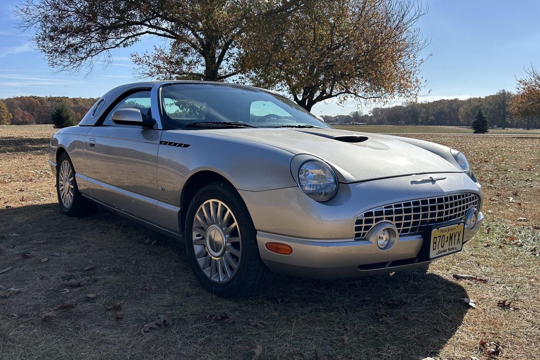2004 Ford Thunderbird