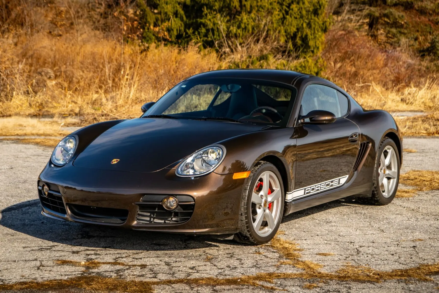 2008 Porsche Cayman