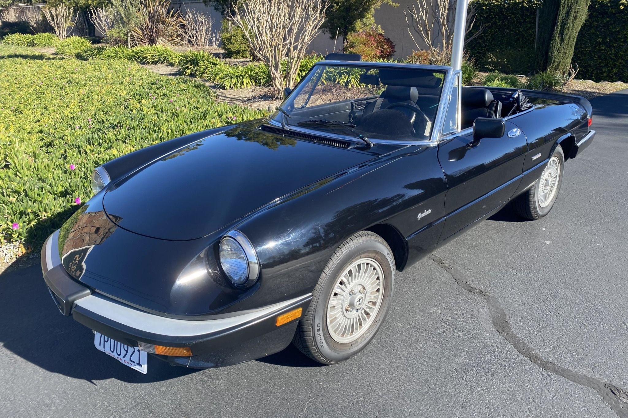 1989 Alfa Romeo 105 Series Spider