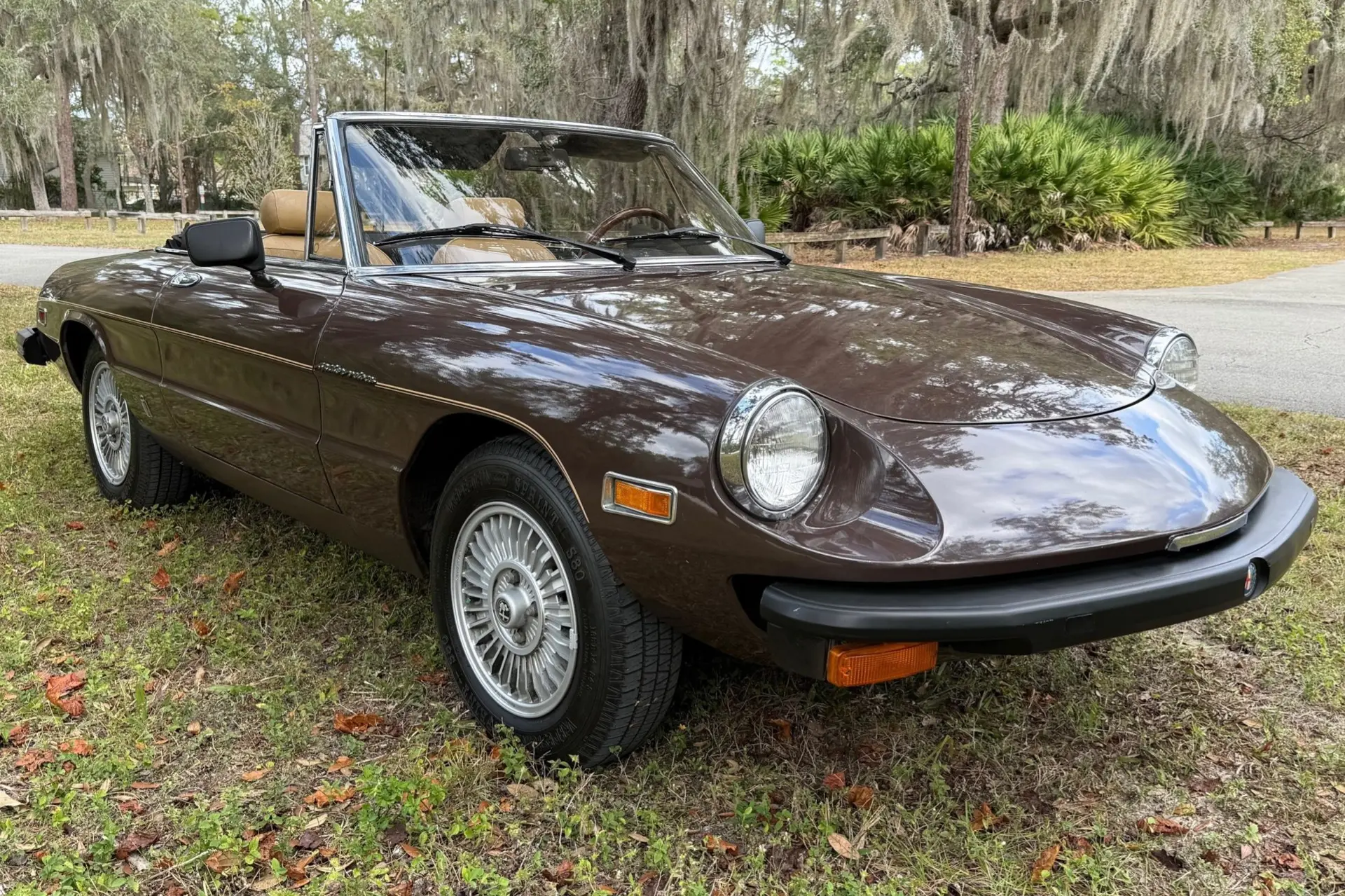 1980 Alfa Romeo 105 Series Spider