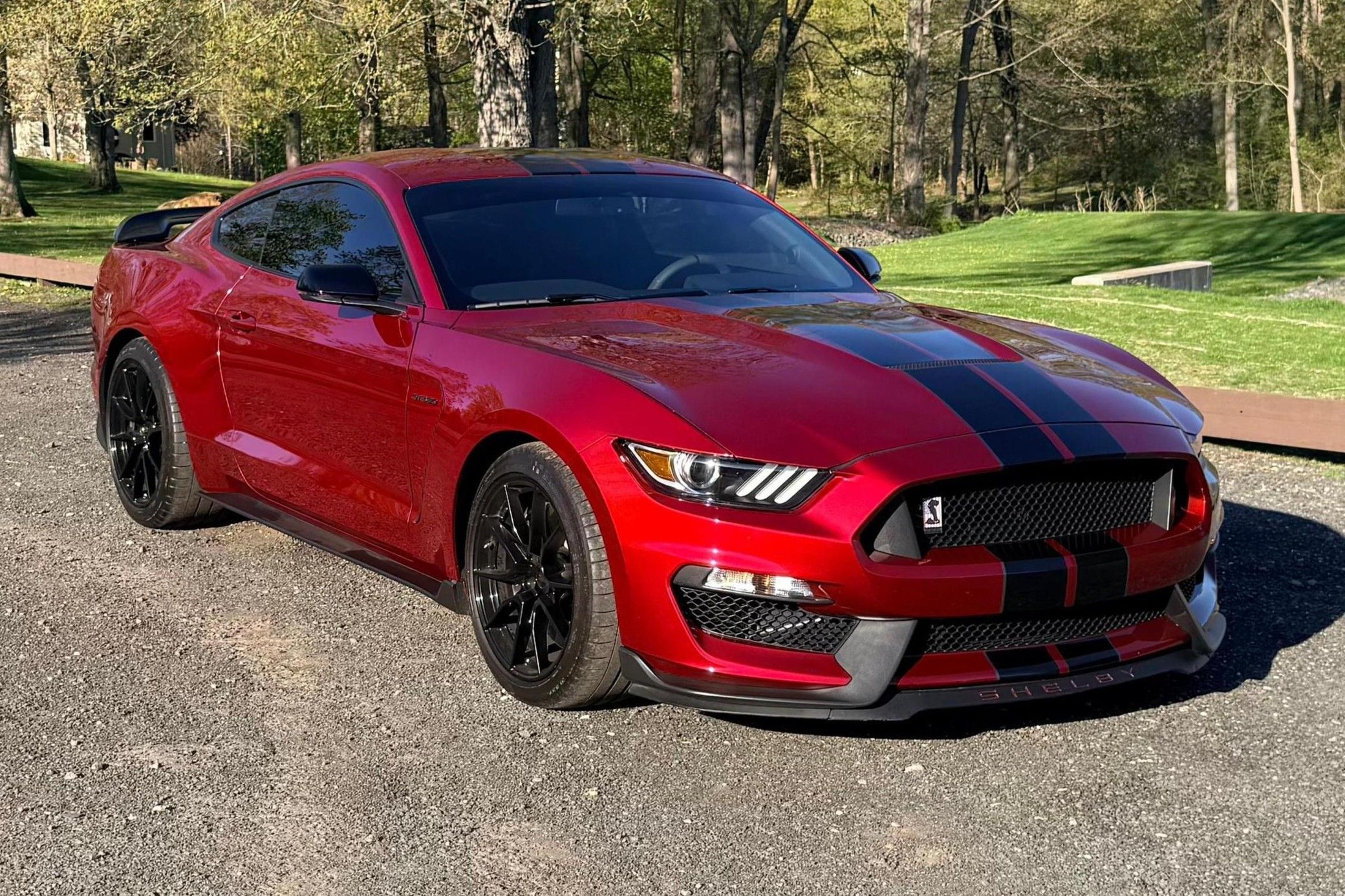 2019 Ford Mustang Shelby GT350