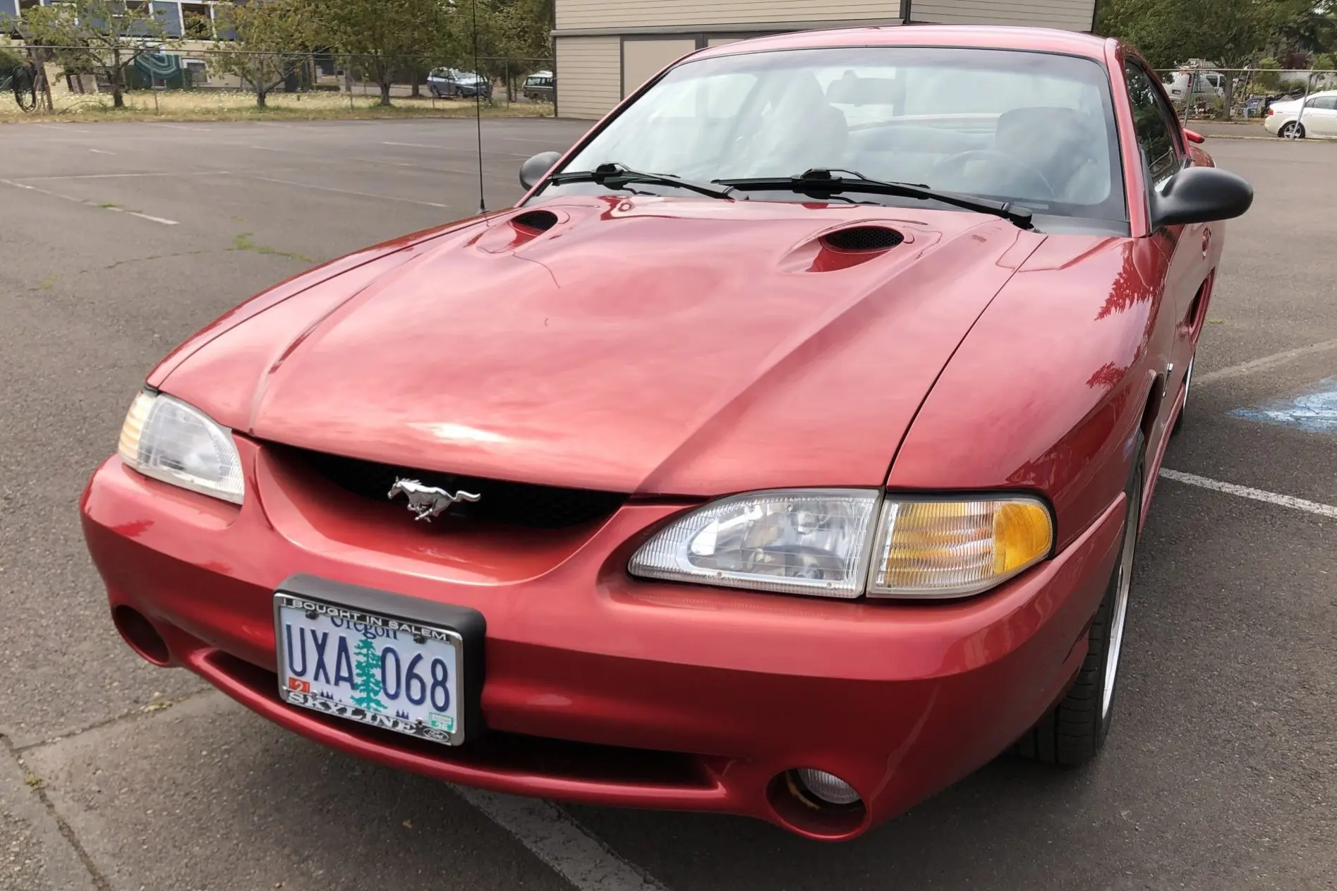 1996 Ford Mustang SVT Cobra