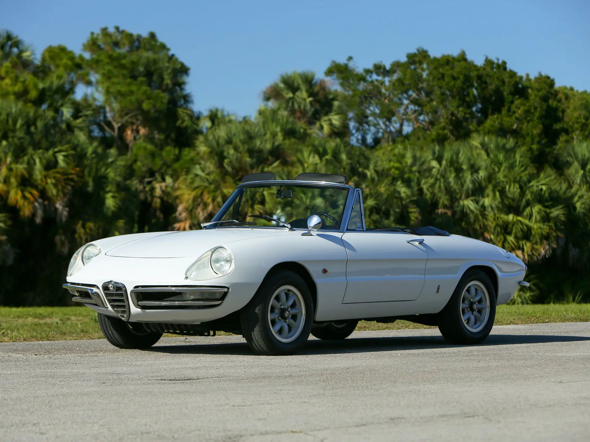 1967 Alfa Romeo 105 Series Spider