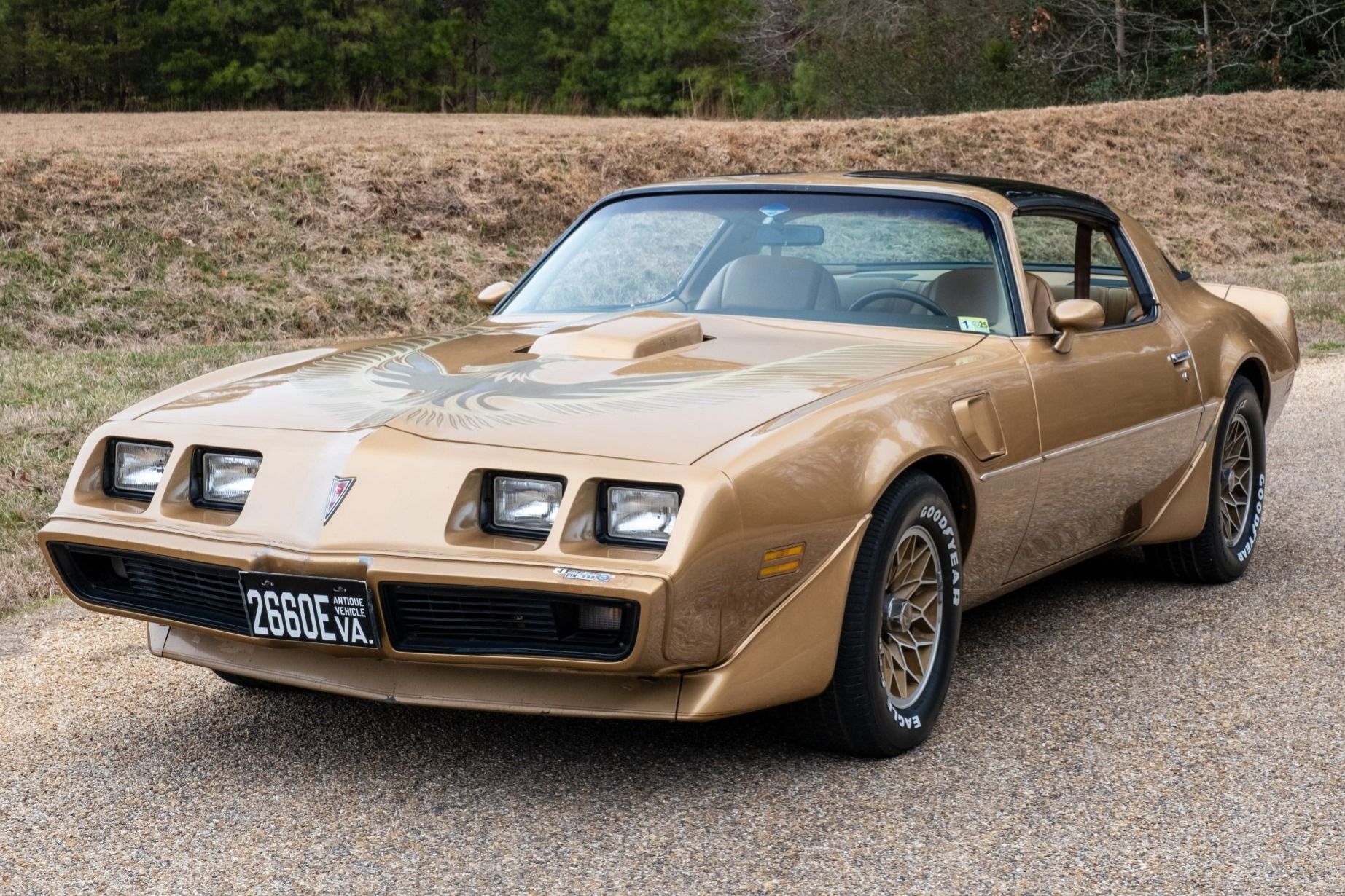1981 Pontiac Firebird Trans Am