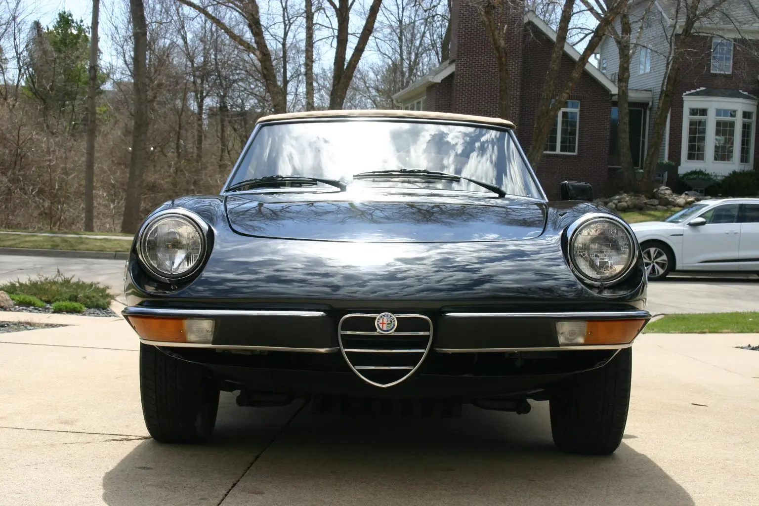 1979 Alfa Romeo 105 Series Spider