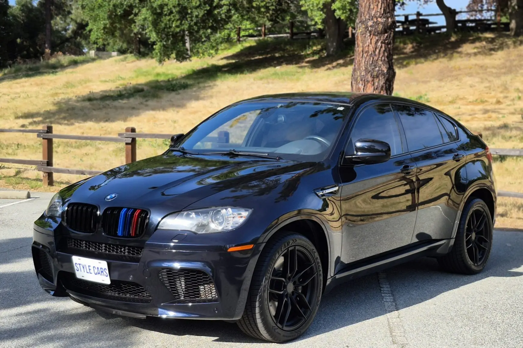 2011 BMW X6 M