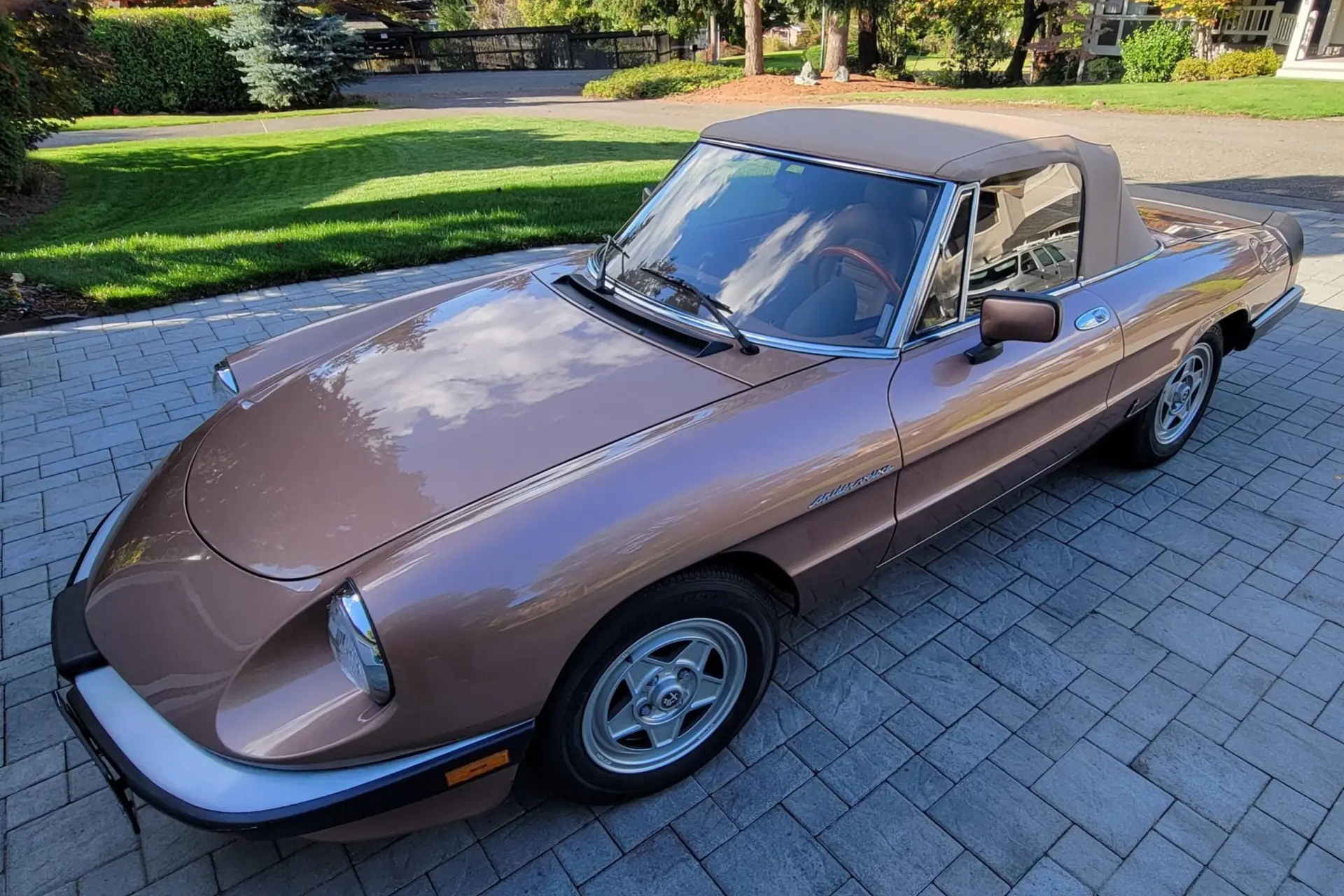 1983 Alfa Romeo Spider