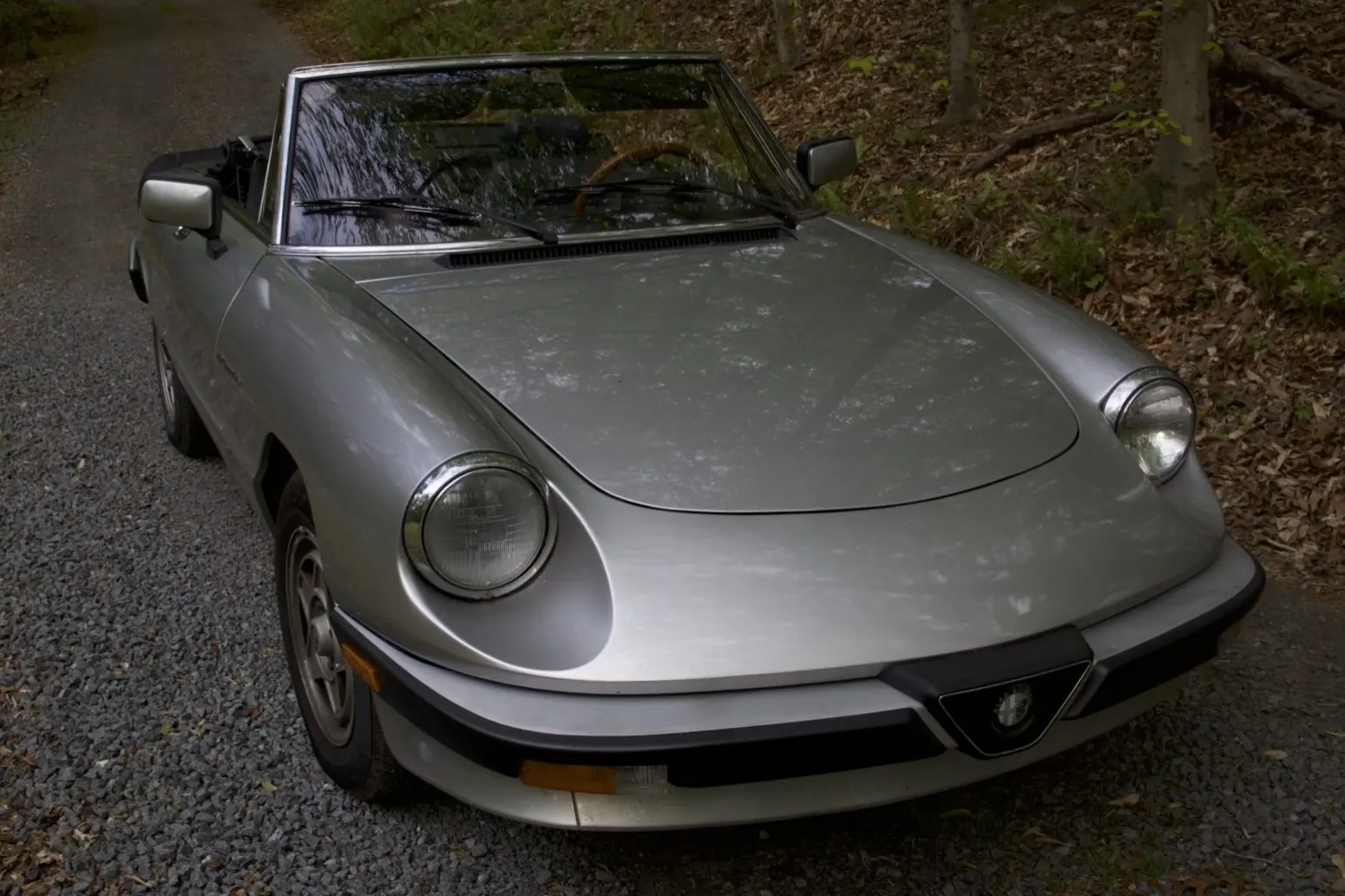 1984 Alfa Romeo Spider