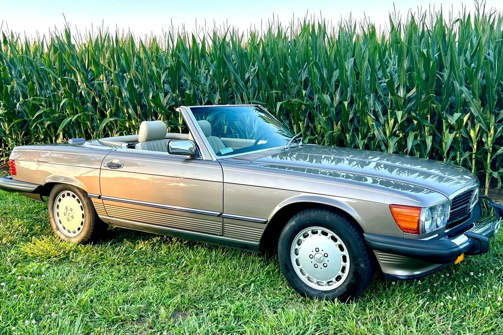 1989 Mercedes-Benz SL-Class 560SL