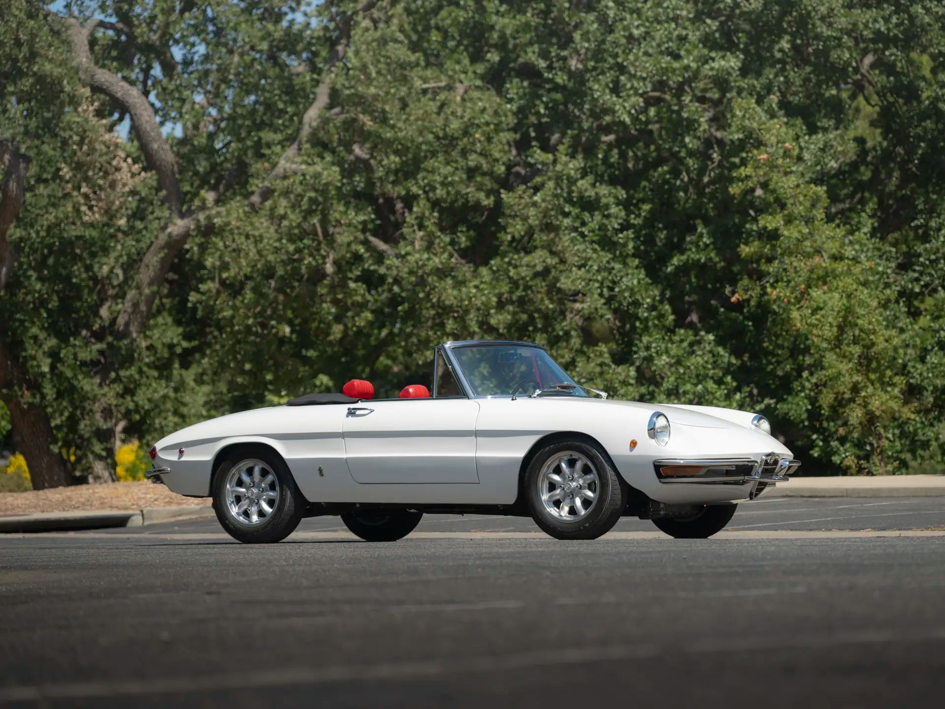 1969 Alfa Romeo 105 Series Spider