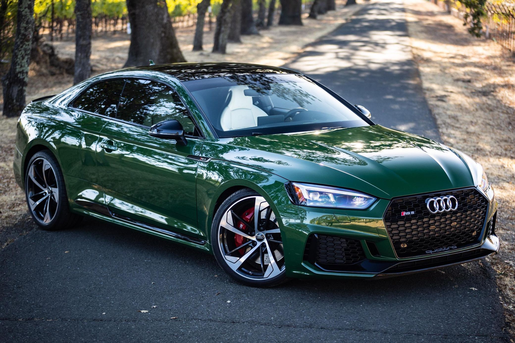 2019 Audi RS 5