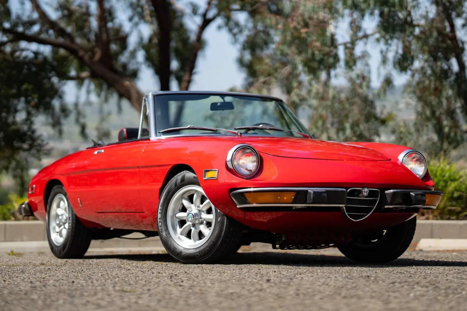 1974 Alfa Romeo 105 Series Spider
