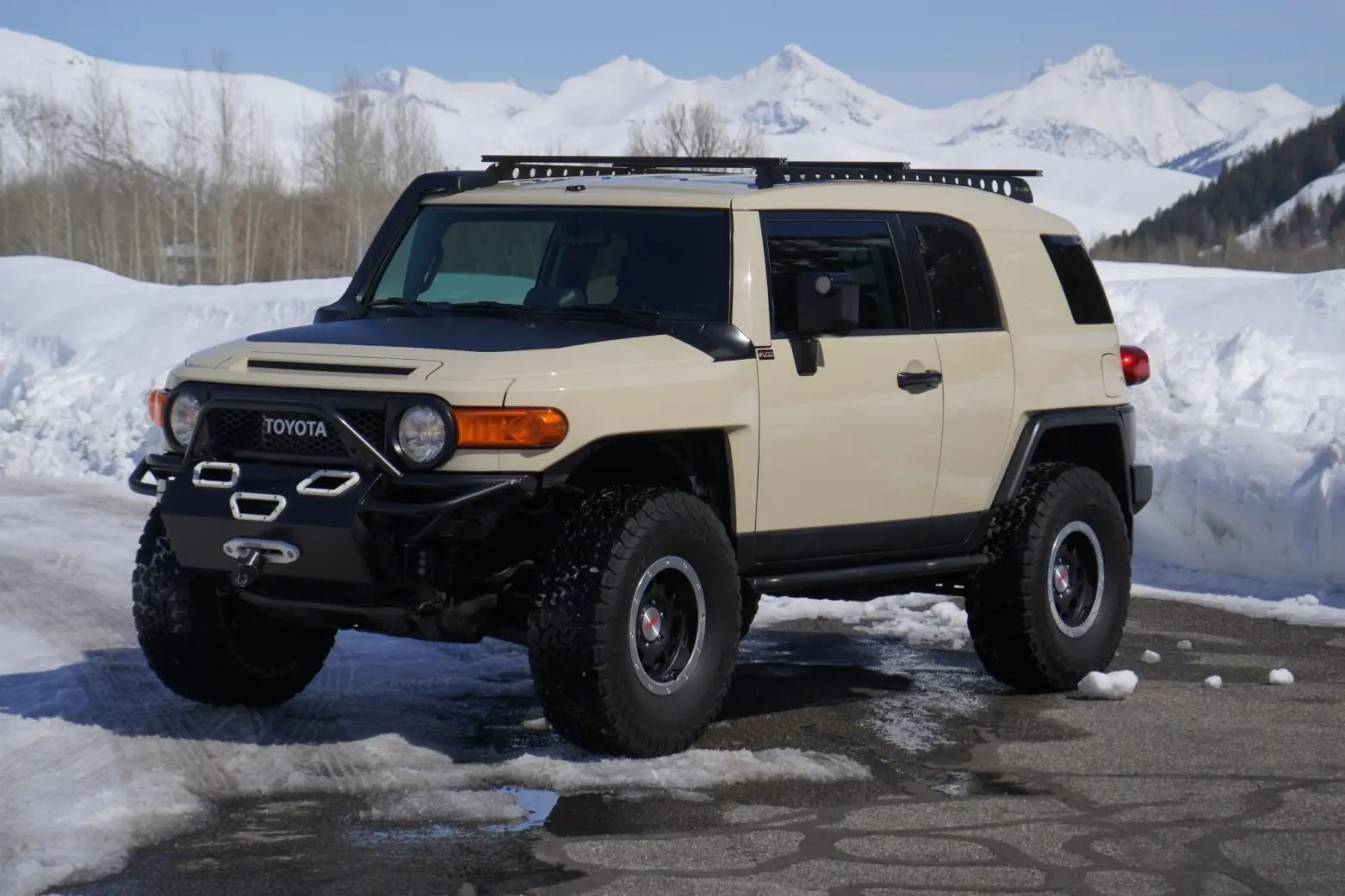 2010 Toyota FJ Cruiser