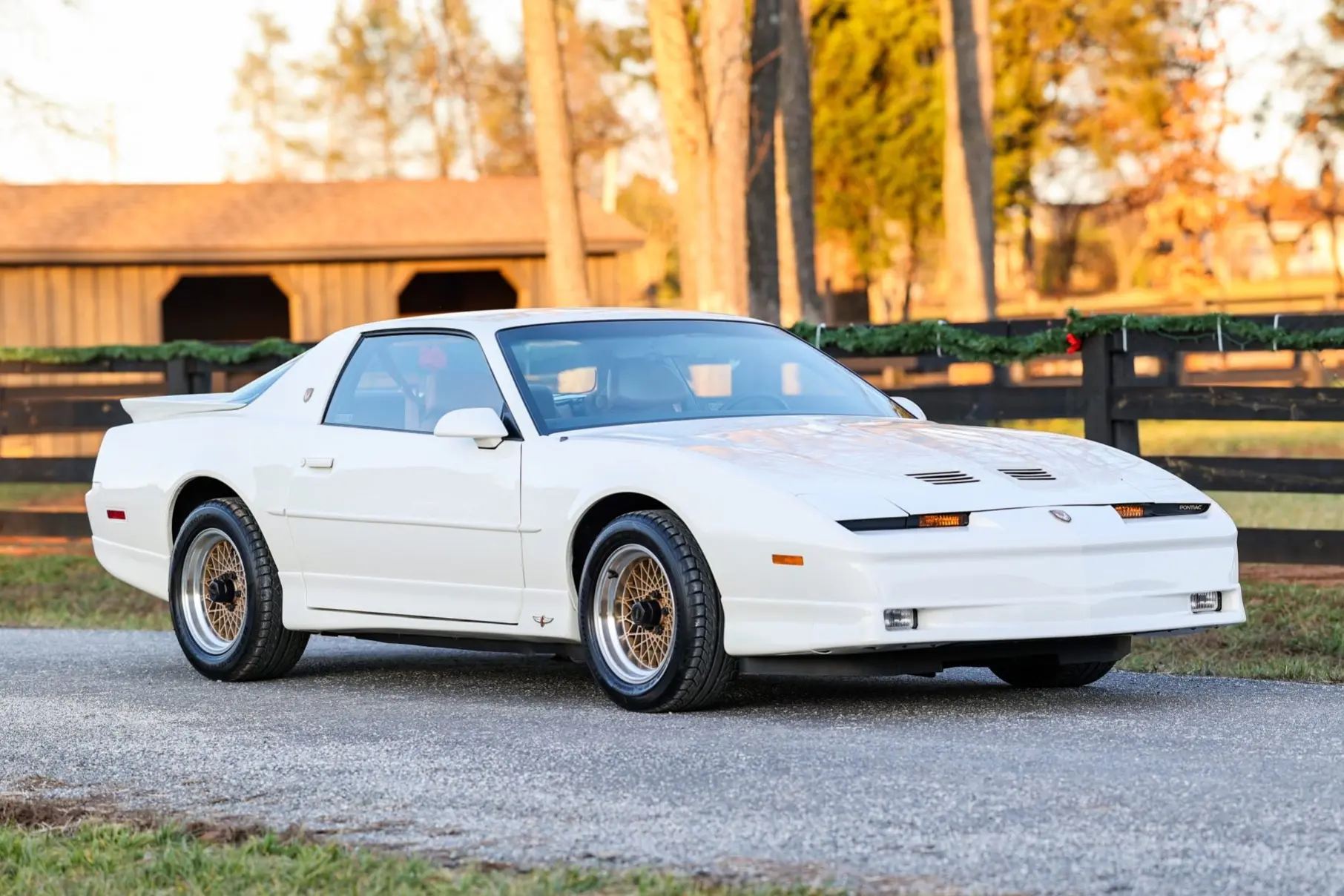 1989 Pontiac Firebird Trans Am