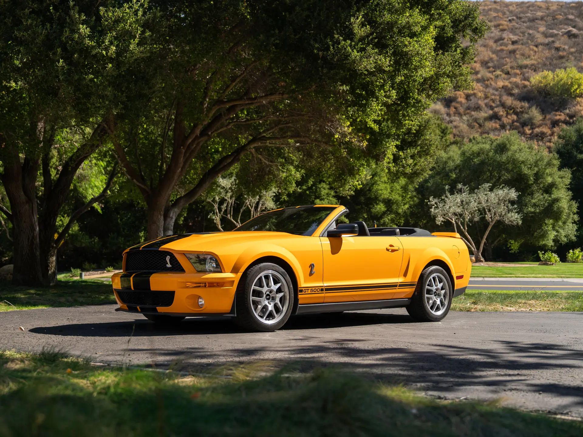 2008 Ford Mustang Shelby GT500