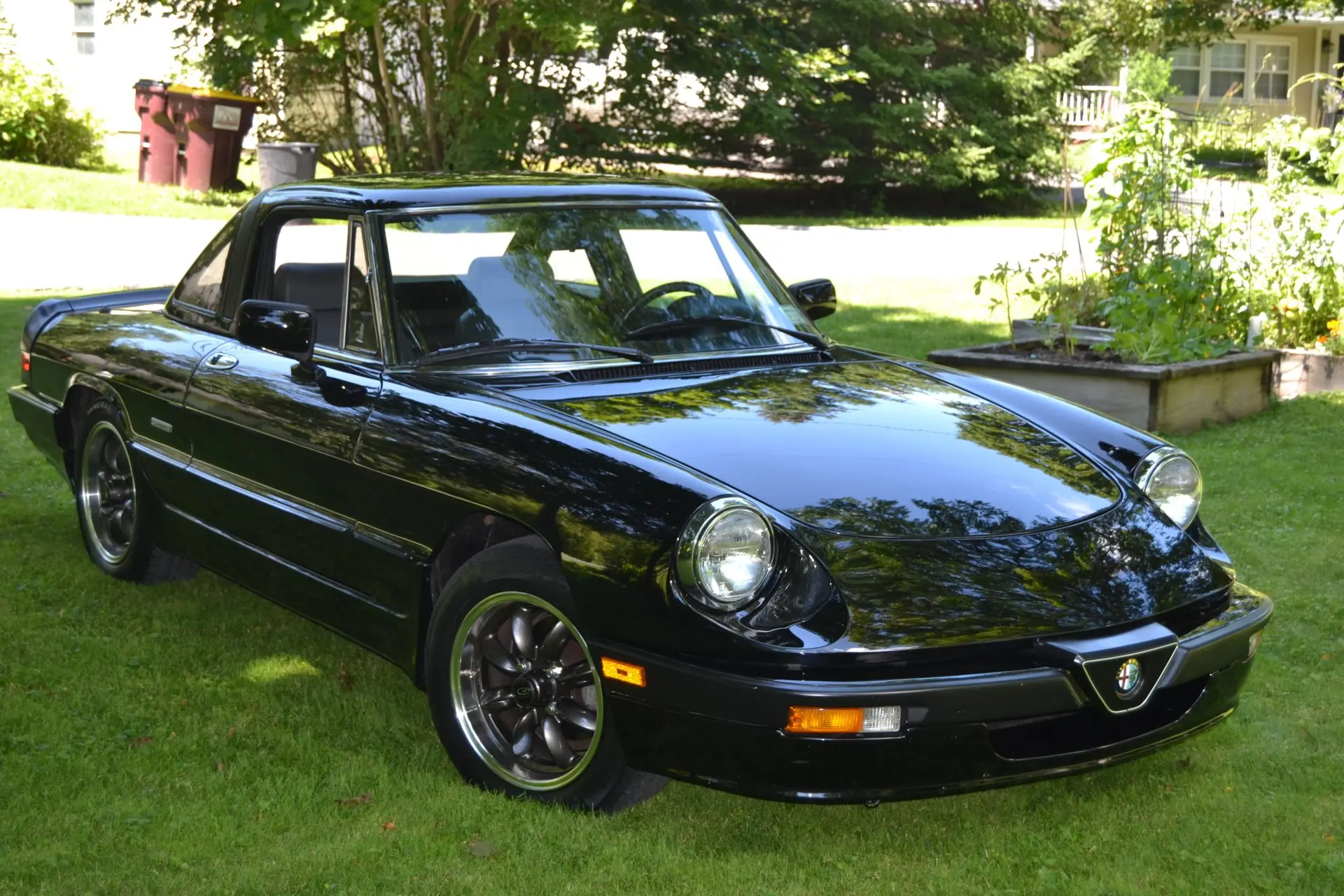 1987 Alfa Romeo Spider