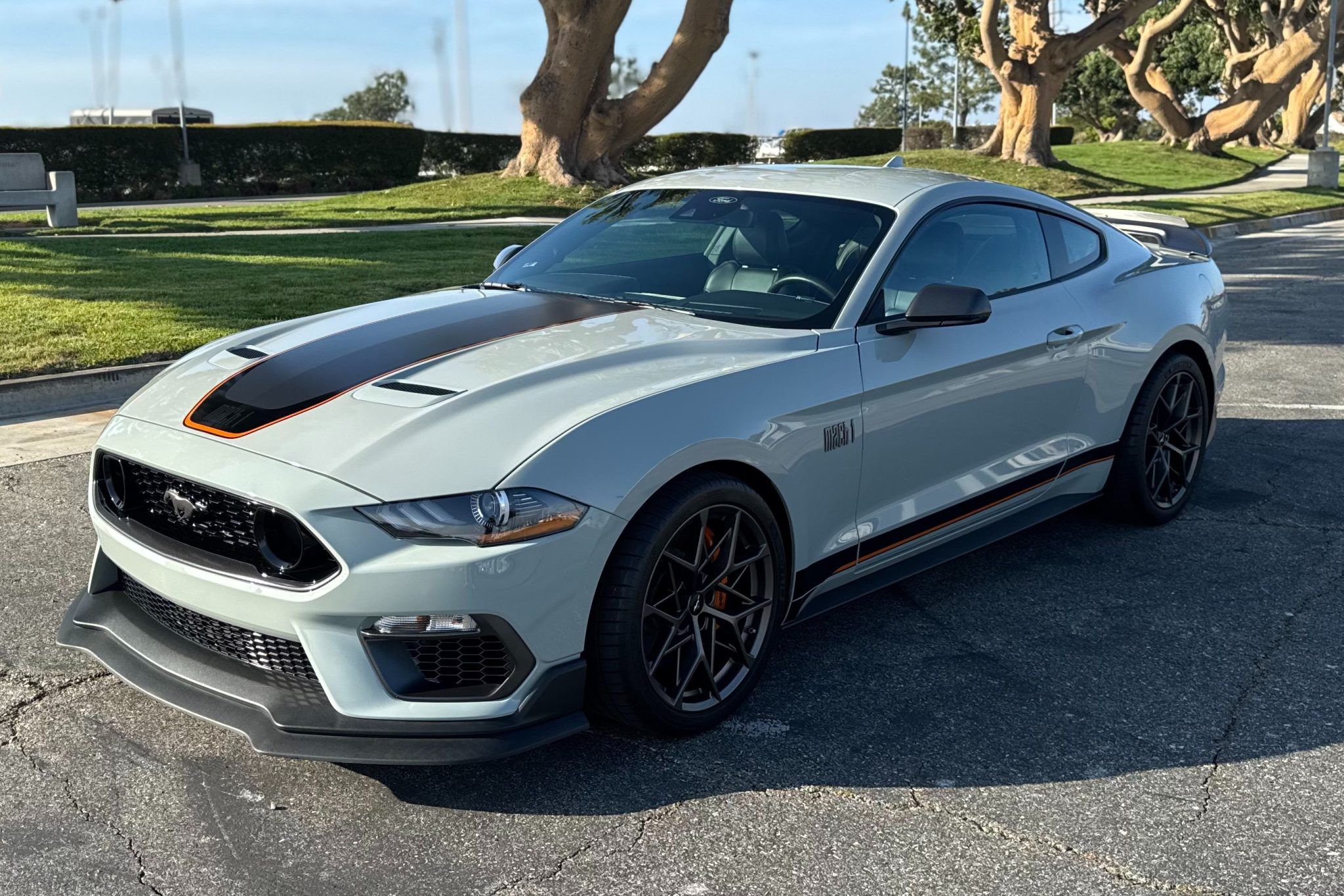 2021 Ford Mustang Mach 1